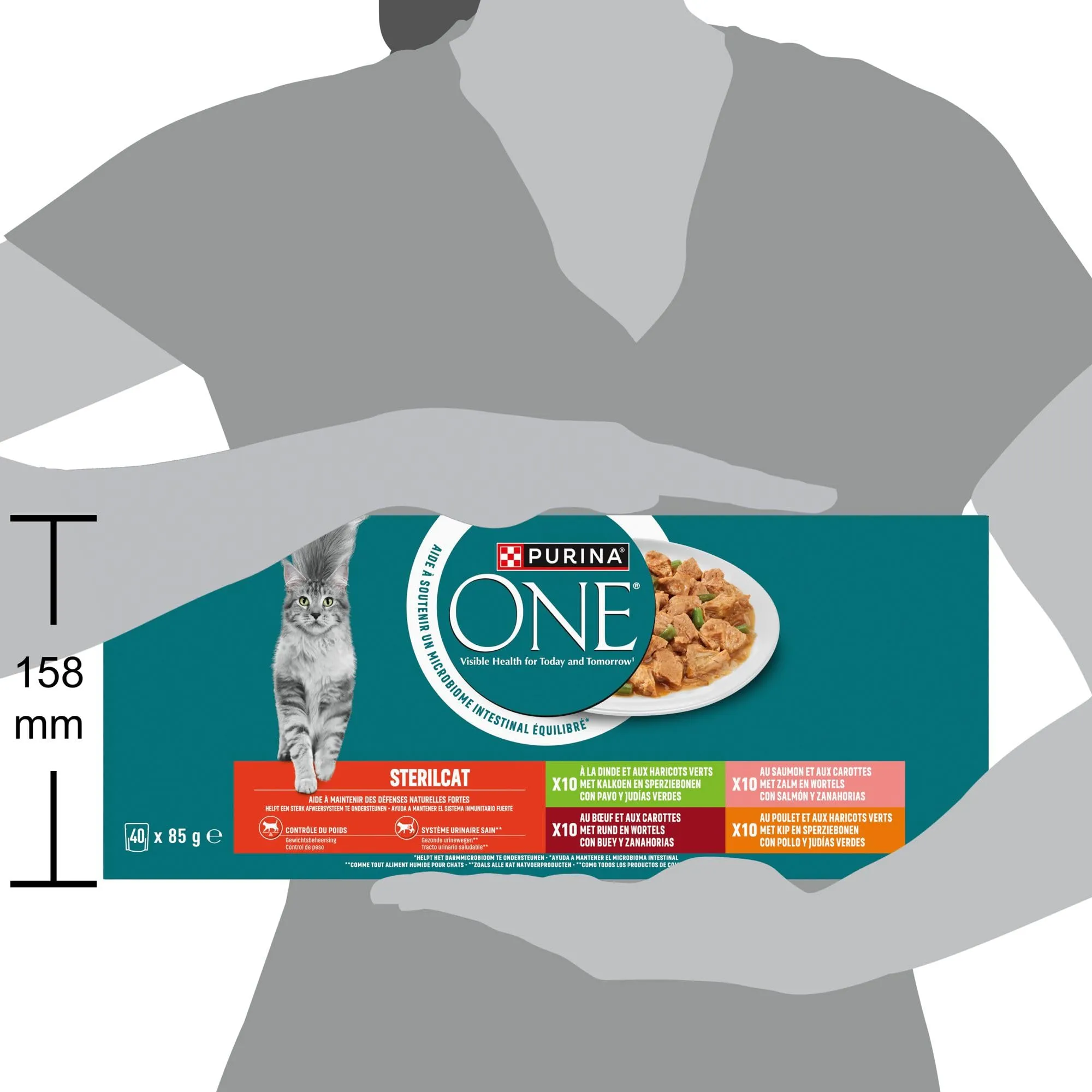 Purina ONE Bifensis - Cibo umido per gatti adulti sterilizzato con salmone e carote, 40 bustine da 85 g - immagine 5