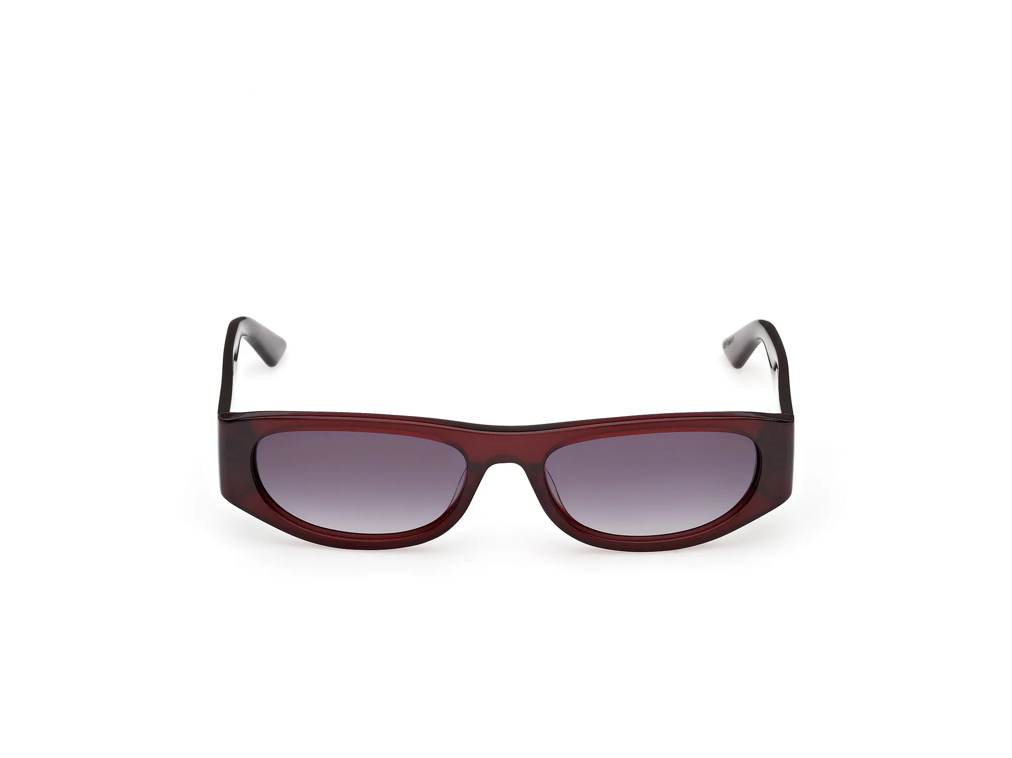 GCDS GD0070 69B Occhiali da sole Acetato Bordeaux Fumo Rotonda Normale - immagine 2