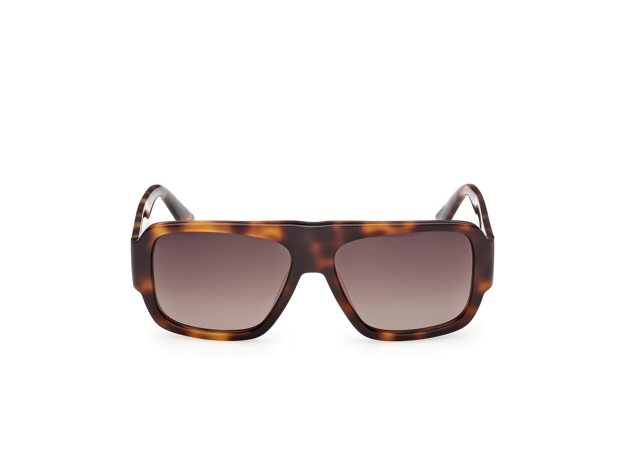 GCDS GD0069 52F Occhiali da sole Acetato Havana Marrone Squadrata Normale - immagine 2