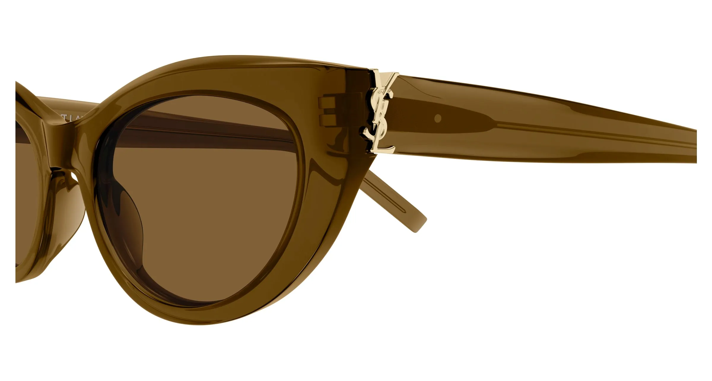 SAINT LAURENT SL M115 006 Occhiali da sole Acetato Marrone Marrone Cat Eye - immagine 3
