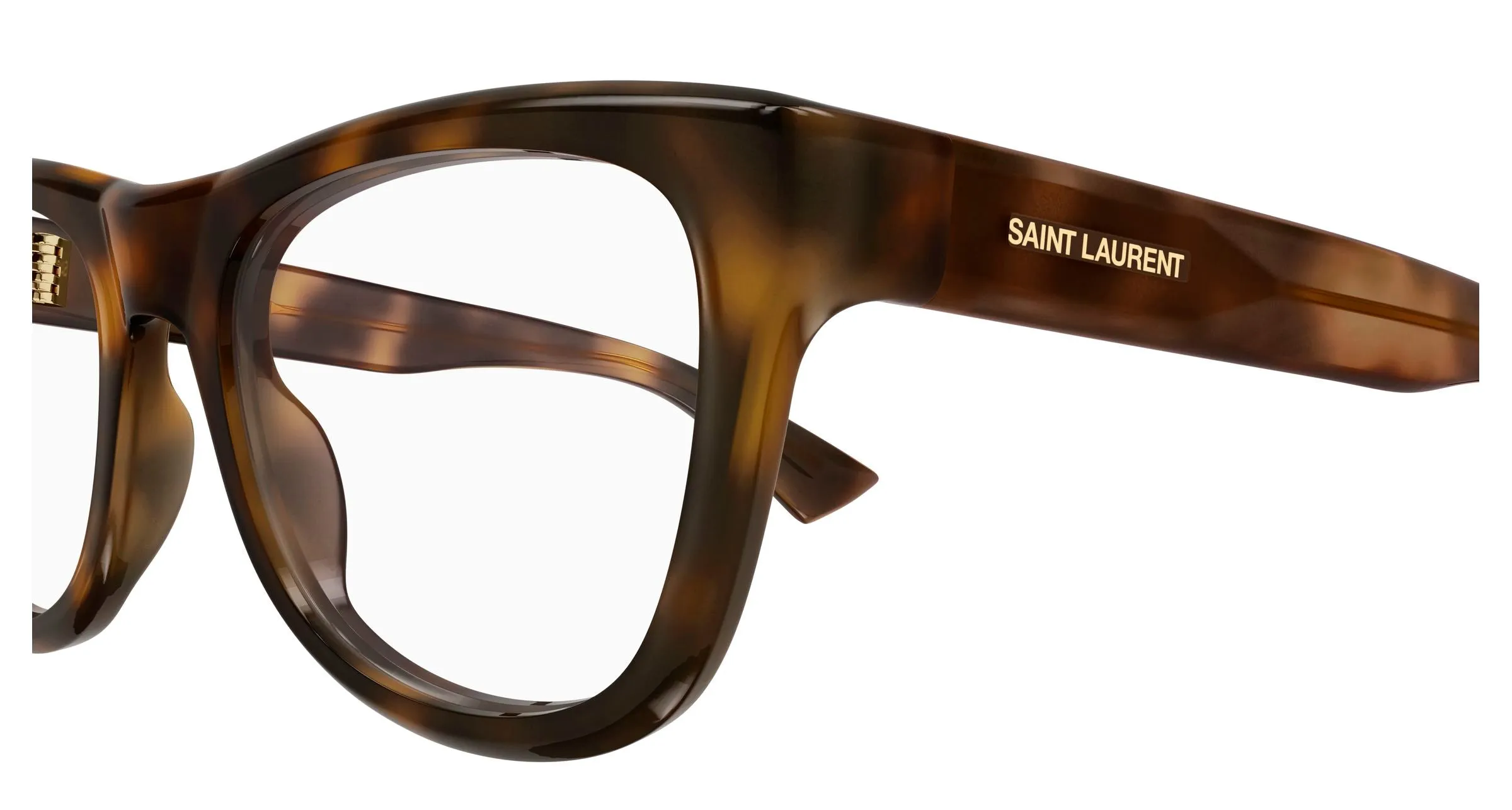 SAINT LAURENT SL 816 OPT 003 Montature da vista Acetato Havana Trasparente Cat Eye ["Antiriflesso"] - immagine 3