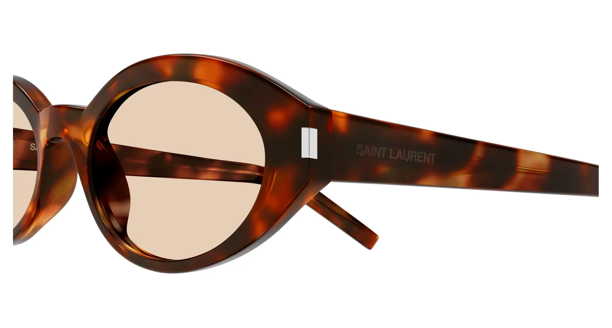 SAINT LAURENT SL 567 008 Occhiali da sole Acetato Havana Marrone Rotonda - immagine 3