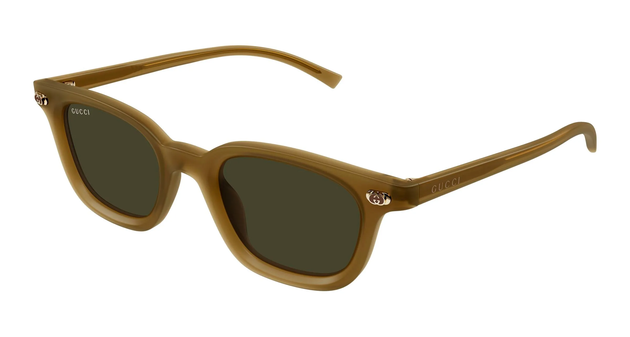 Gucci GG1946S 003 Occhiali da sole Acetato Marrone Verde Rotonda - immagine 1