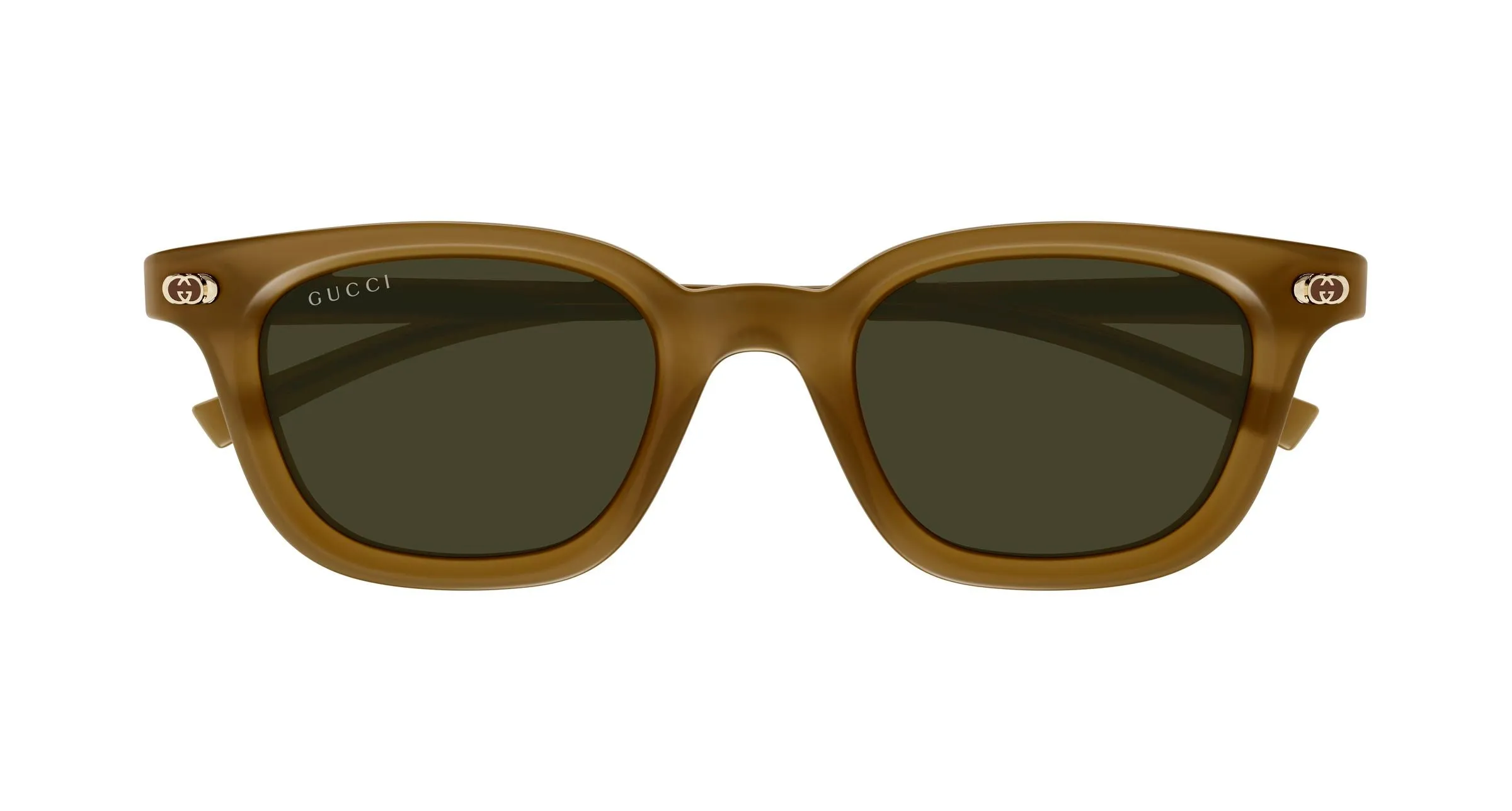 Gucci GG1946S 003 Occhiali da sole Acetato Marrone Verde Rotonda - immagine 2