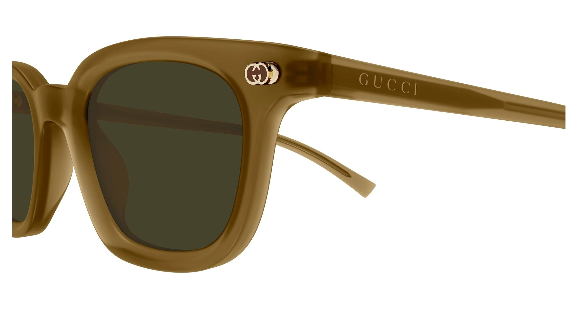 Gucci GG1946S 003 Occhiali da sole Acetato Marrone Verde Rotonda - immagine 3