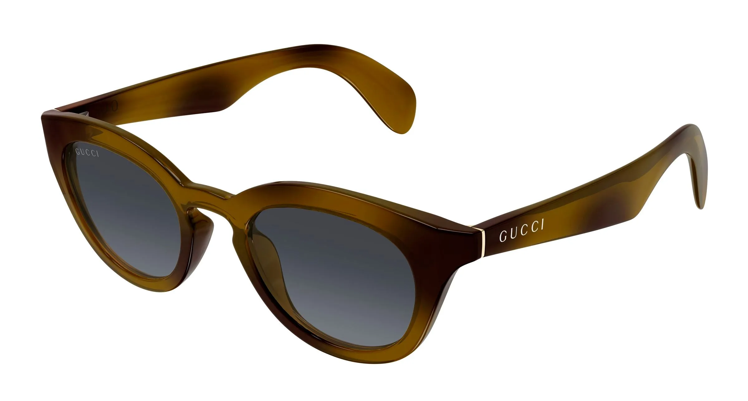 Gucci GG1934S 003 Occhiali da sole Iniettato Havana Grigio Squadrata - immagine 1