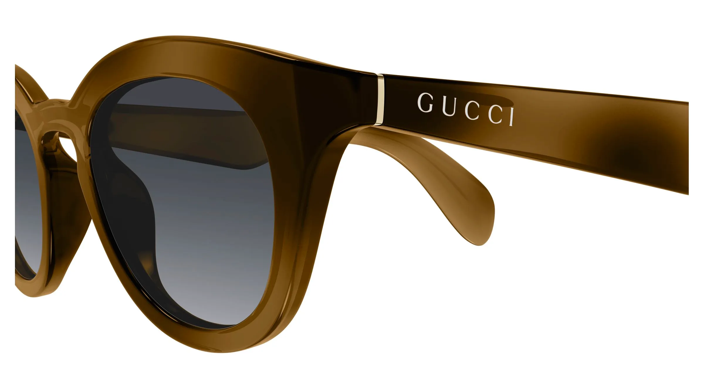 Gucci GG1934S 003 Occhiali da sole Iniettato Havana Grigio Squadrata - immagine 3