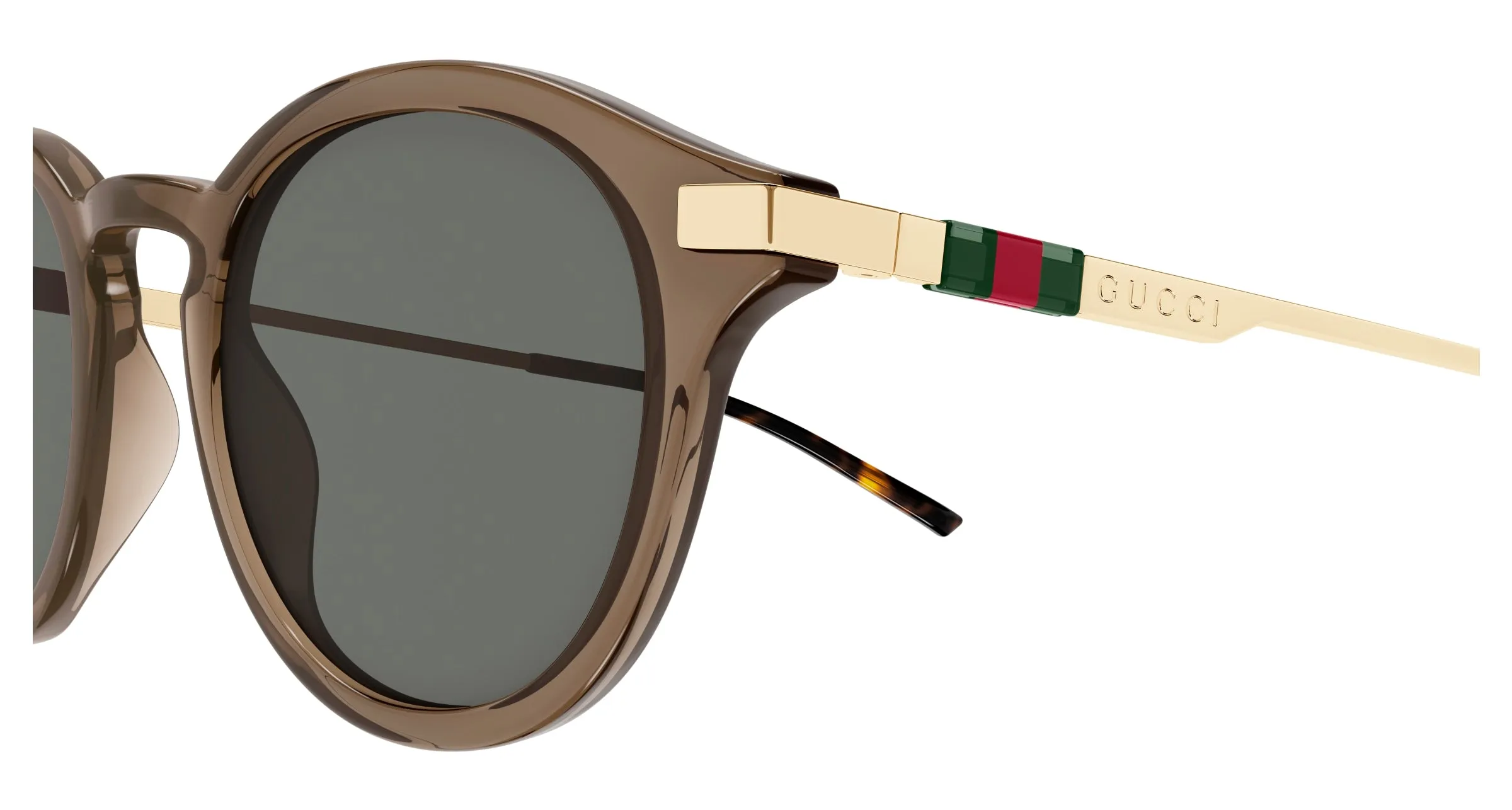 Gucci GG1890SA 004 Occhiali da sole Acetato Marrone Grigio Rotonda - immagine 3
