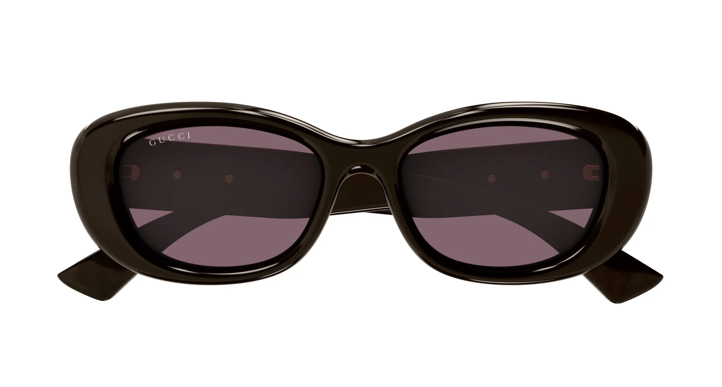 Gucci GG1829SK 004 Occhiali da sole Iniettato Marrone Viola Rotonda - immagine 2