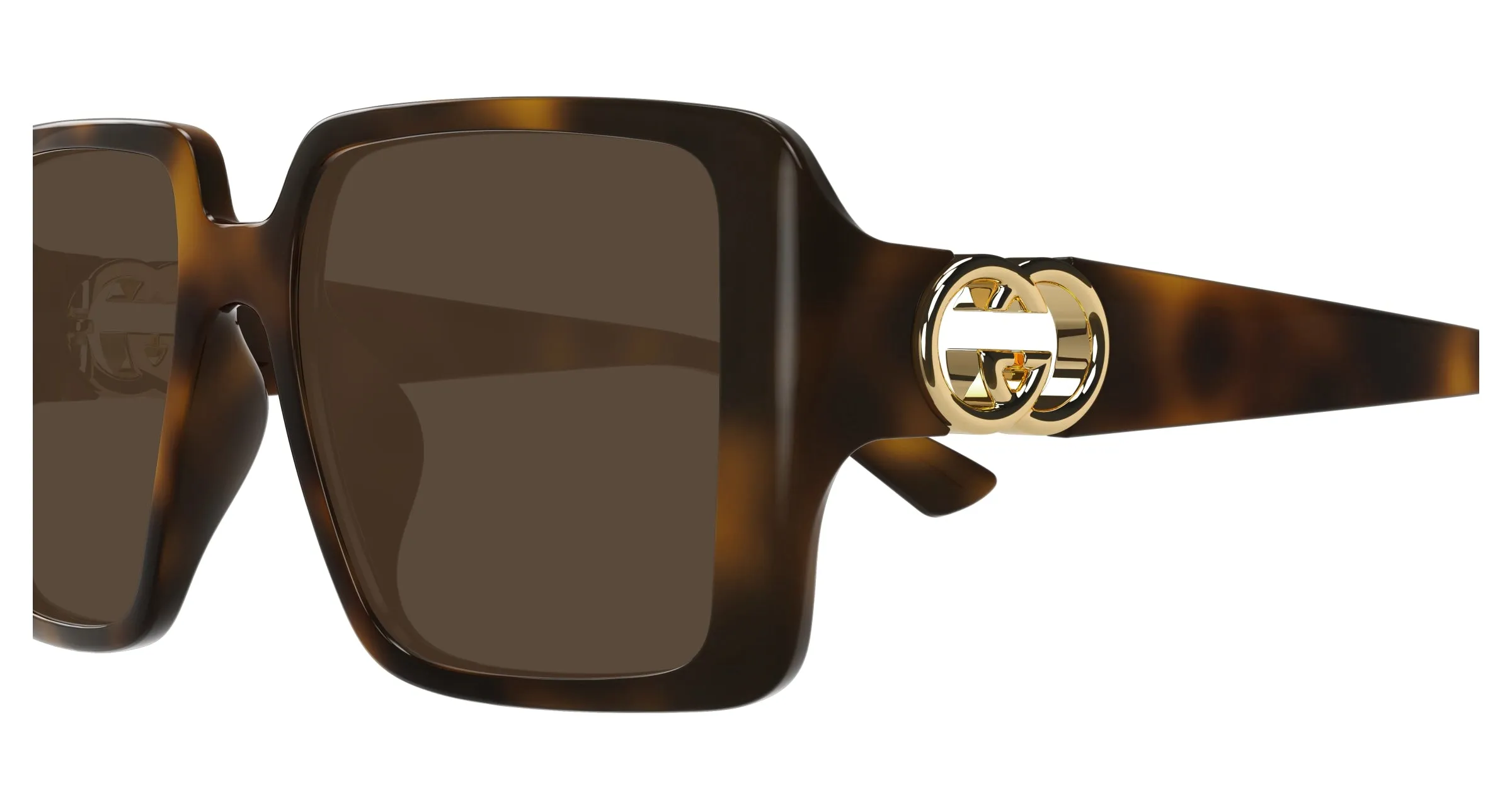 Gucci GG1692SA 002 Occhiali da sole Iniettato Havana Marrone Squadrata - immagine 3