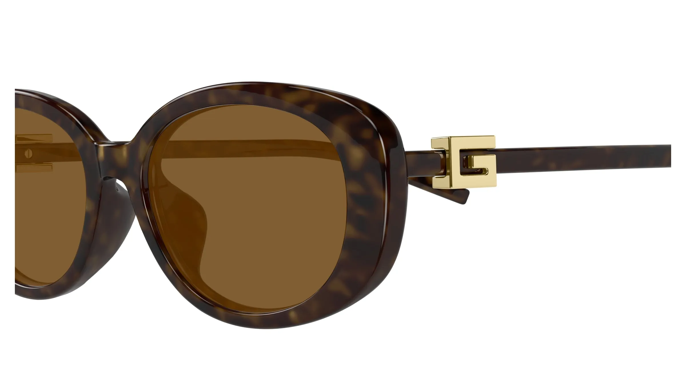 Gucci GG1684SA 004 Occhiali da sole Iniettato Havana Marrone Rotonda - immagine 3