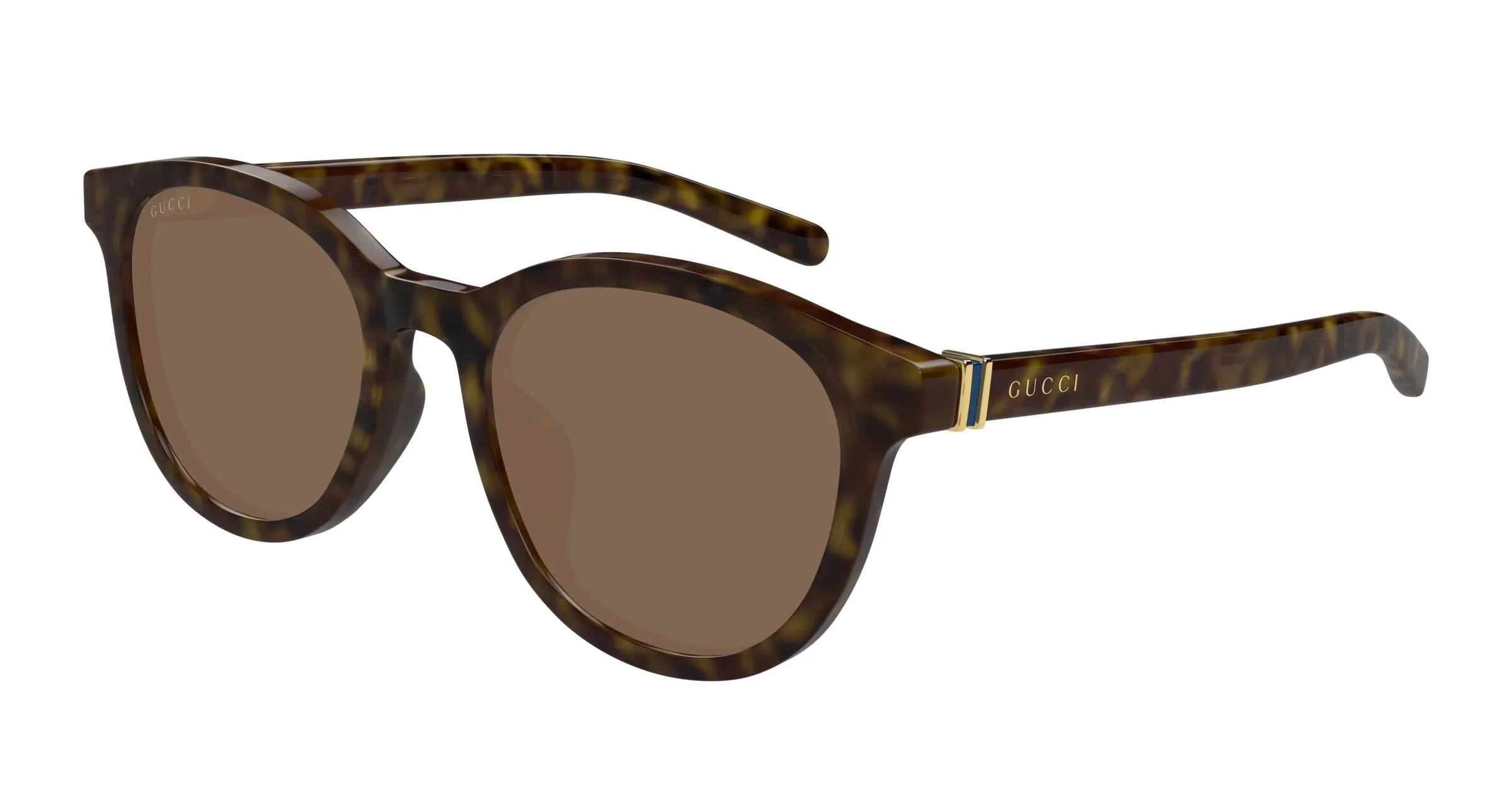 Gucci GG1674SK 002 Occhiali da sole Acetato Havana Marrone Rotonda - immagine 1