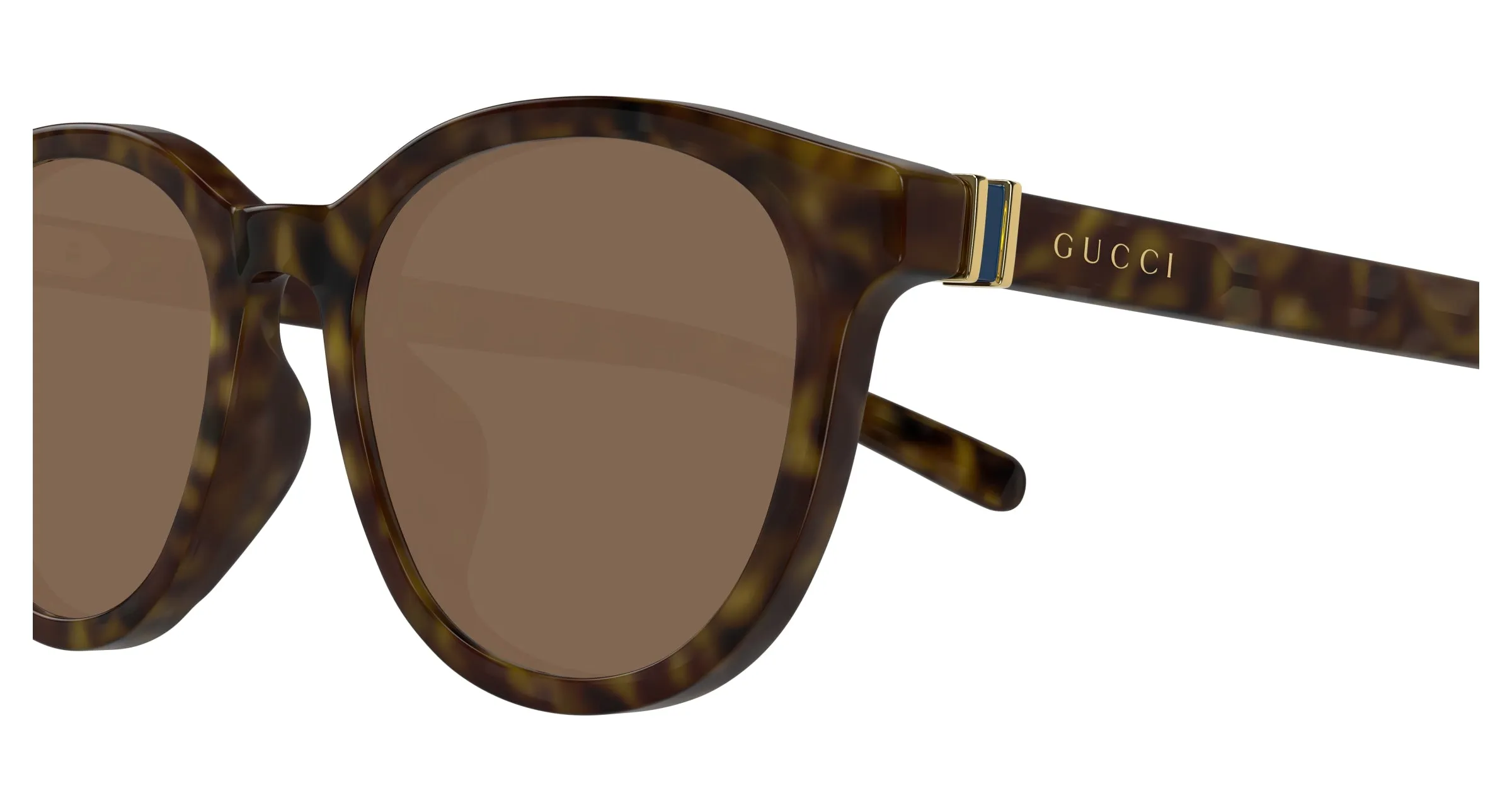 Gucci GG1674SK 002 Occhiali da sole Acetato Havana Marrone Rotonda - immagine 3