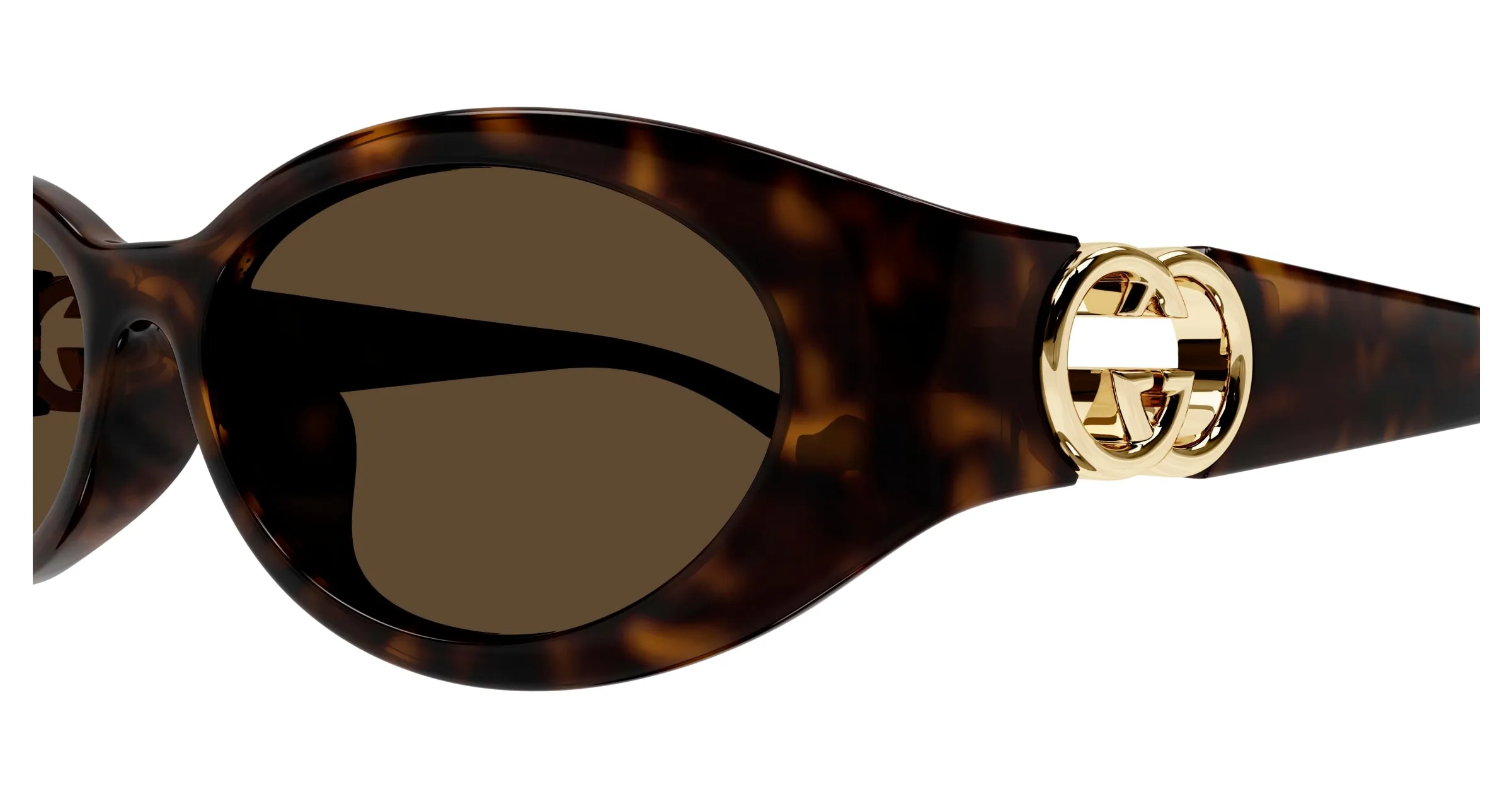 Gucci GG1662SA 002 Occhiali da sole Iniettato Havana Marrone Rotonda - immagine 3