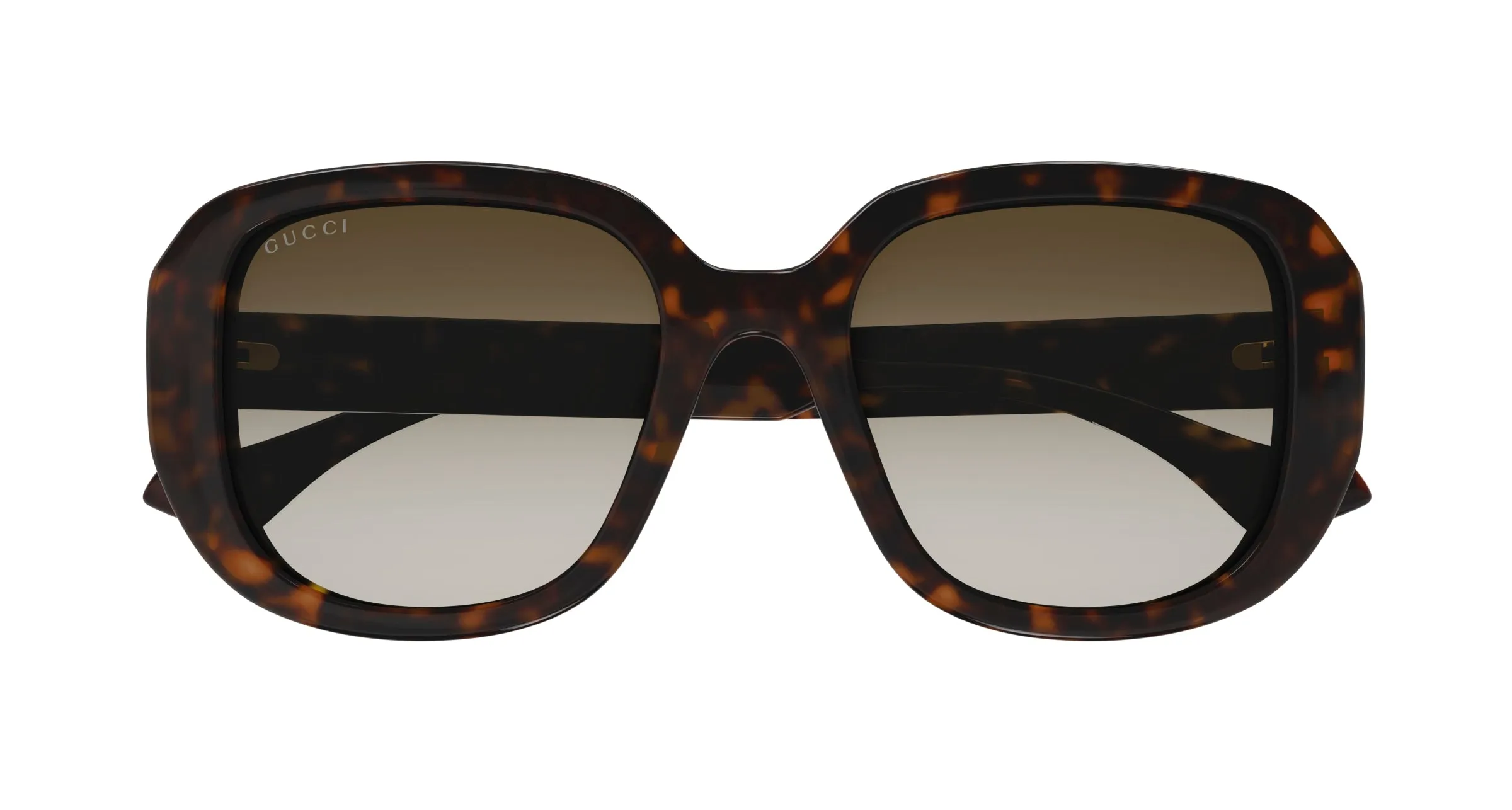 Gucci GG1557SK 002 Occhiali da sole Iniettato Havana Marrone Squadrata - immagine 2