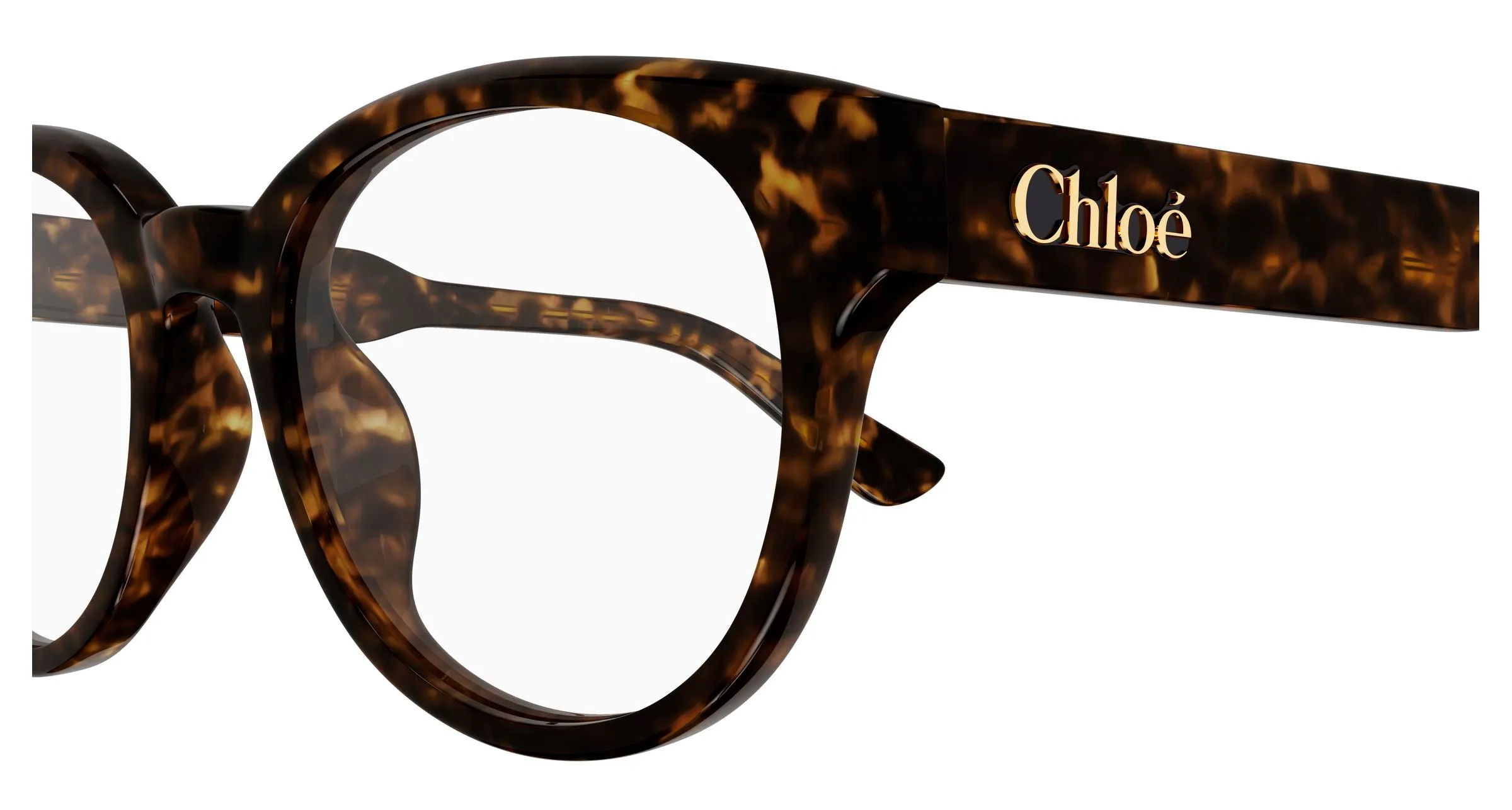 Chloé CH0343OA 002 Montature da vista Acetato Havana Trasparente Rotonda - immagine 3