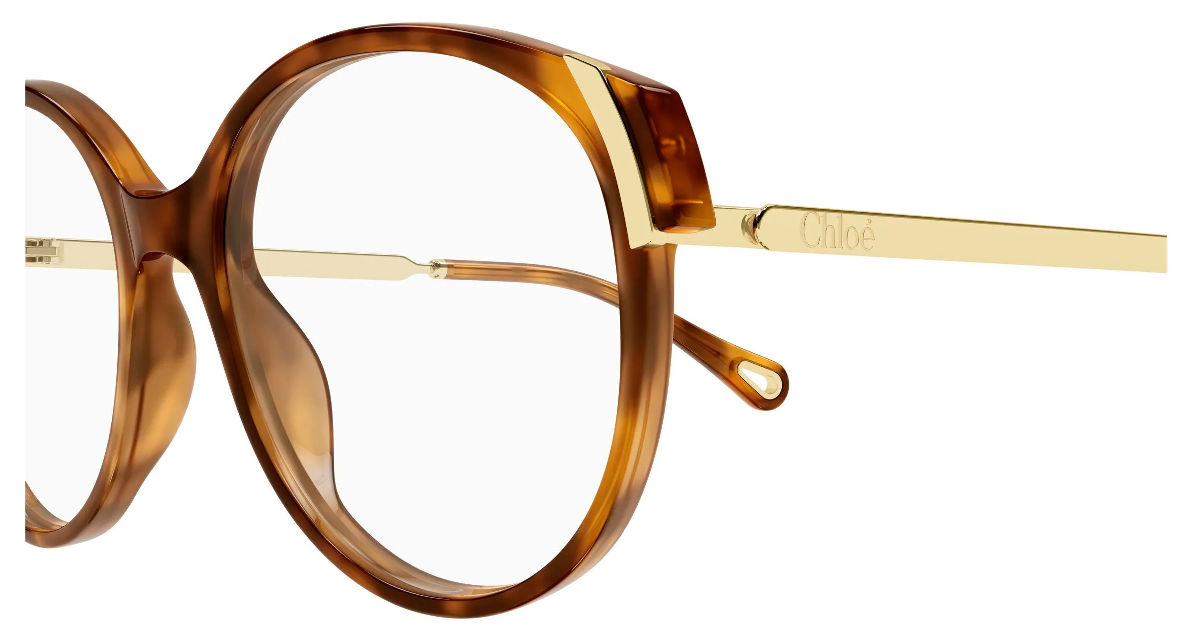 Chloé CH0328O 007 Montature da vista Acetato Havana Trasparente Rotonda - immagine 3