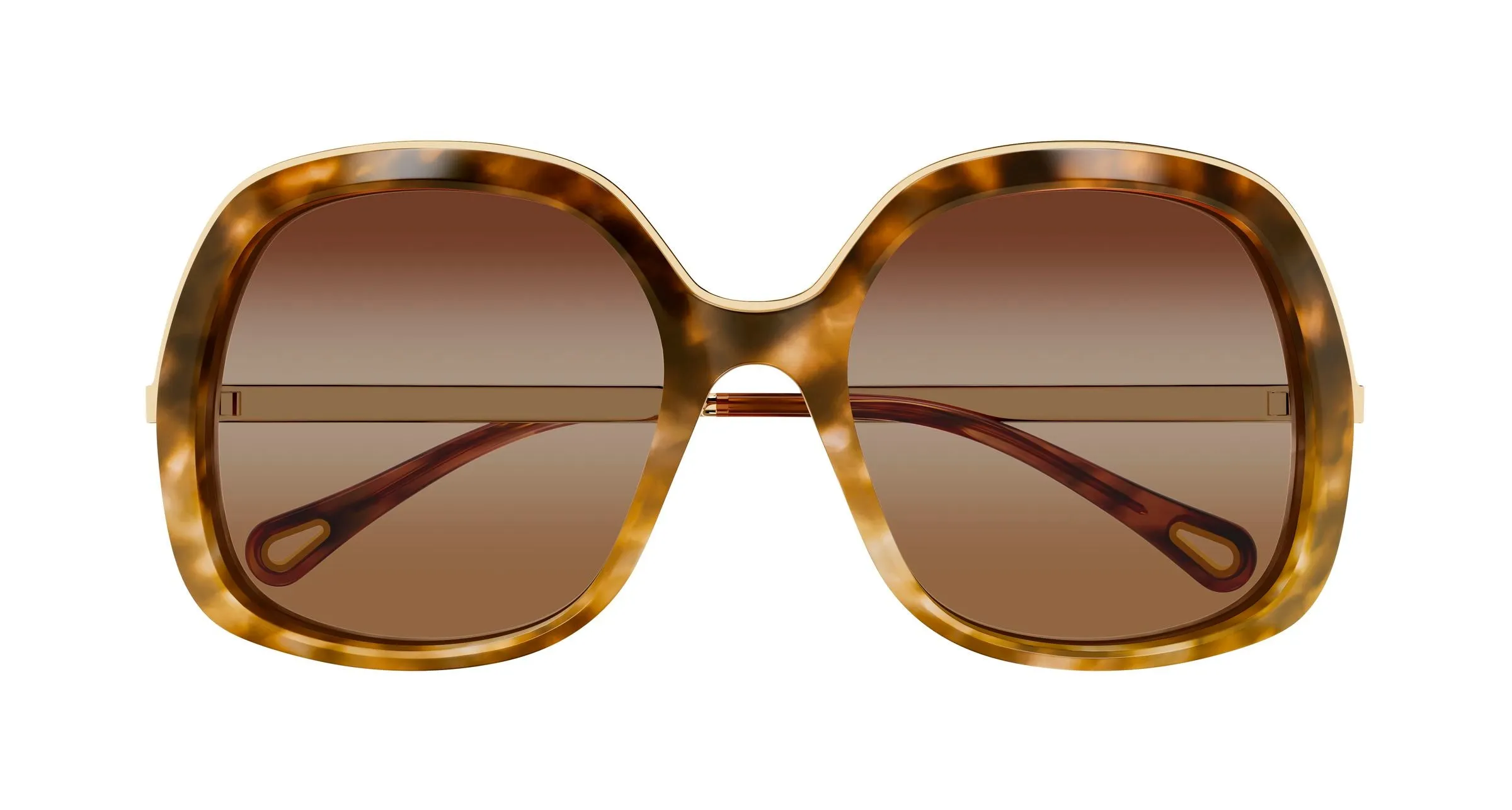 Chloé CH0327S 002 Occhiali da sole Acetato Havana Marrone Squadrata - immagine 2