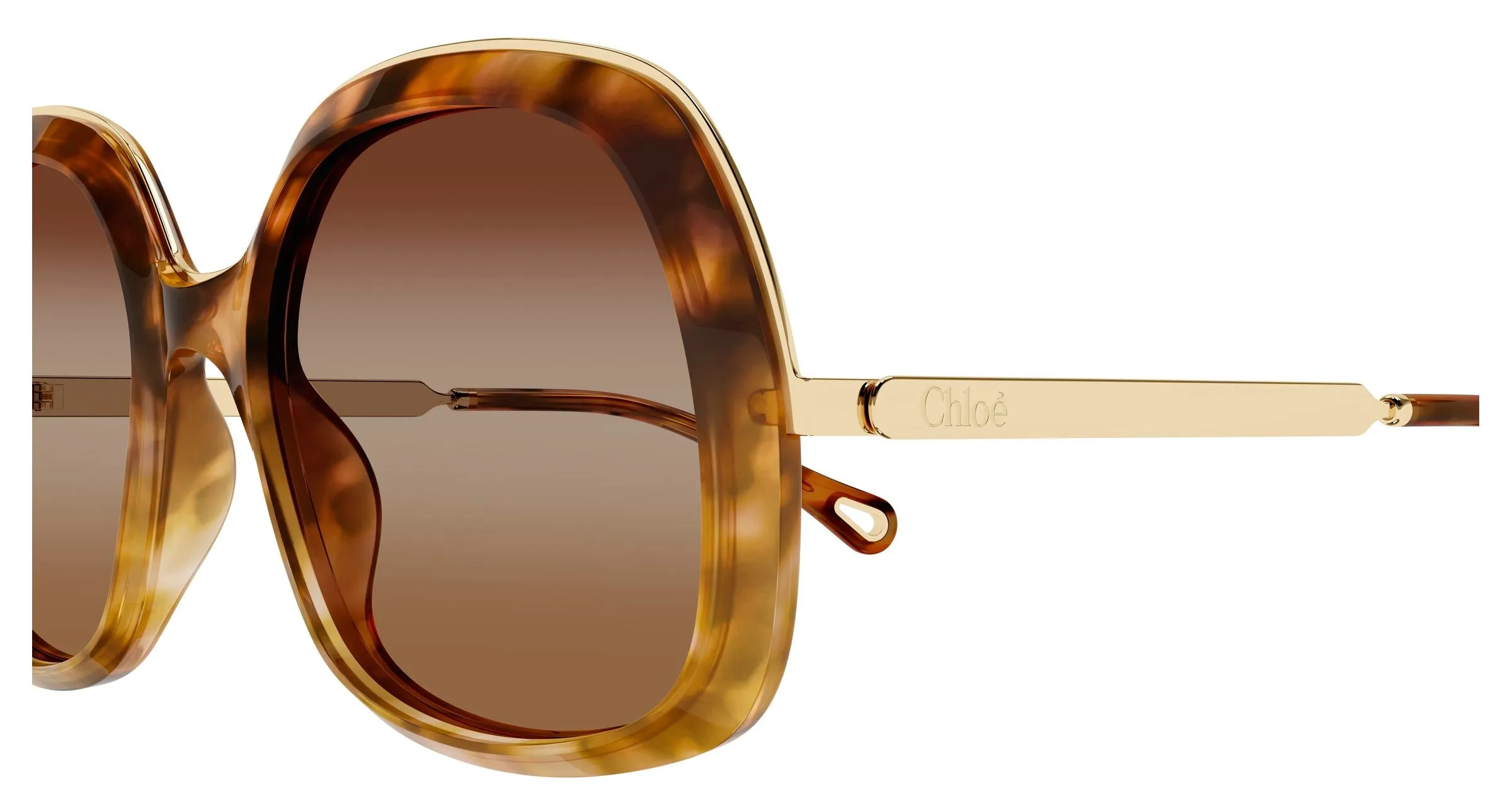 Chloé CH0327S 002 Occhiali da sole Acetato Havana Marrone Squadrata - immagine 3
