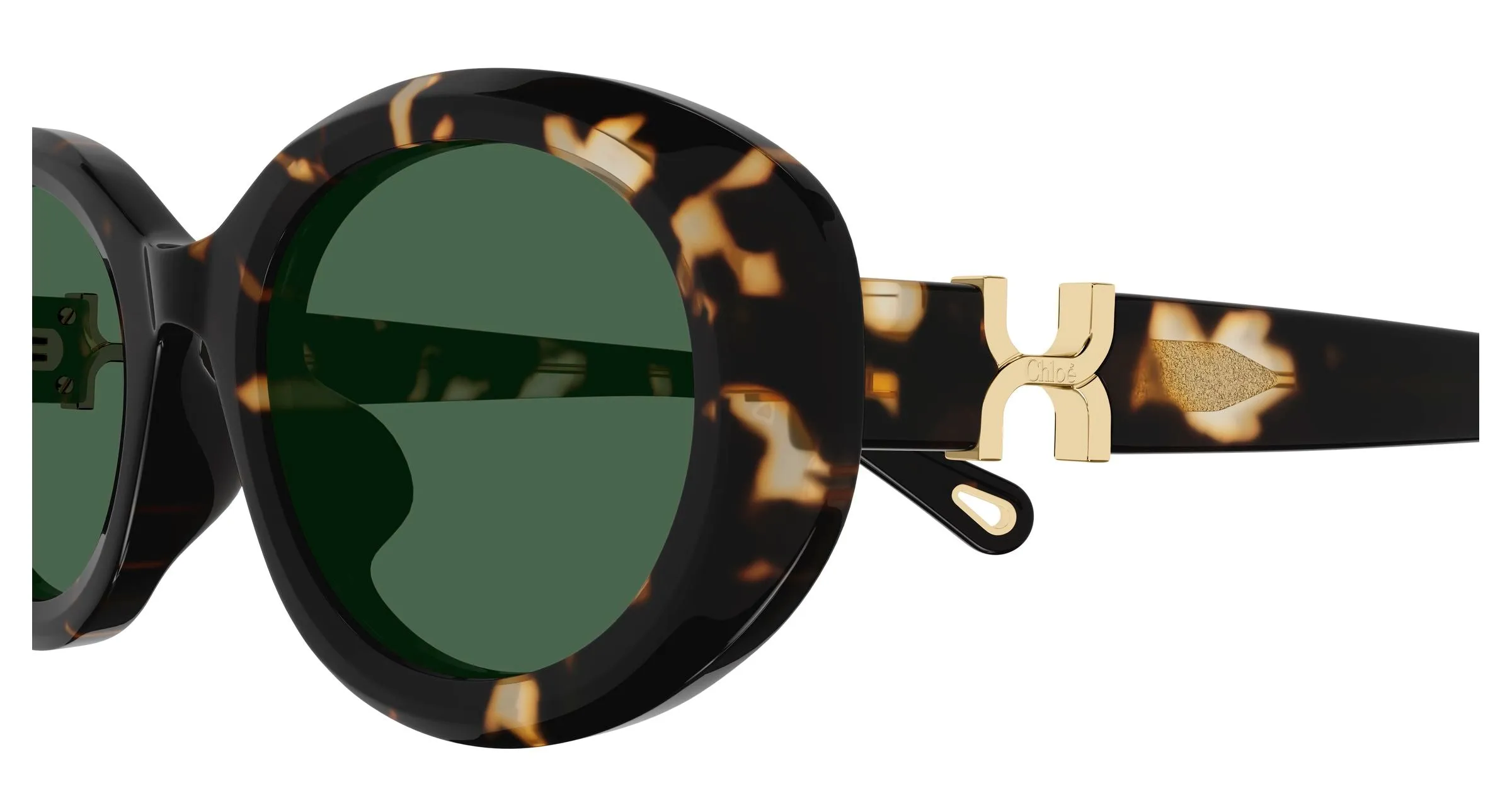 Chloé CH0323SK 002 Occhiali da sole Acetato Havana Verde Rotonda - immagine 3
