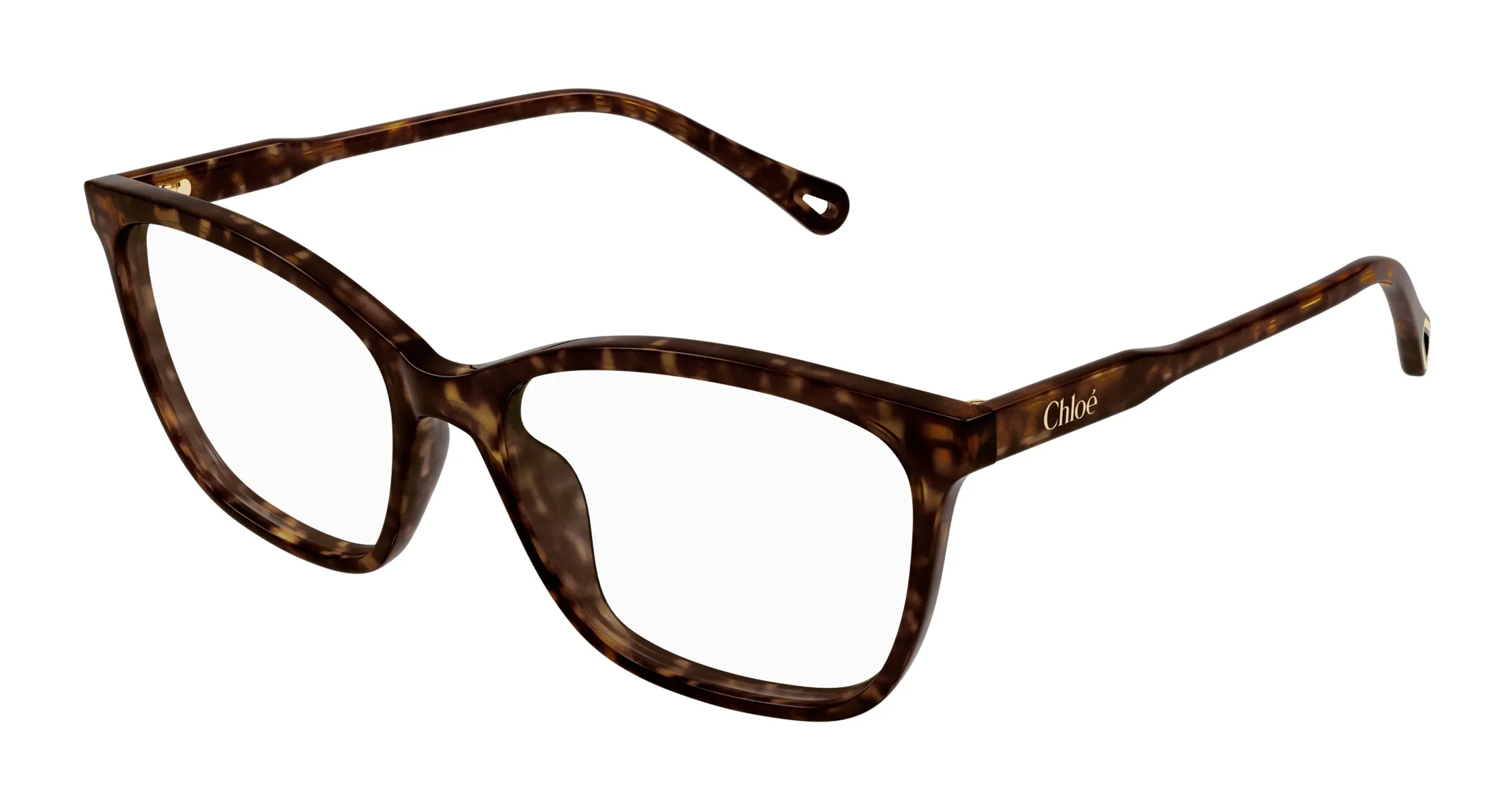 Chloé CH0318O 002 Montature da vista Acetato Havana Trasparente Squadrata - immagine 1