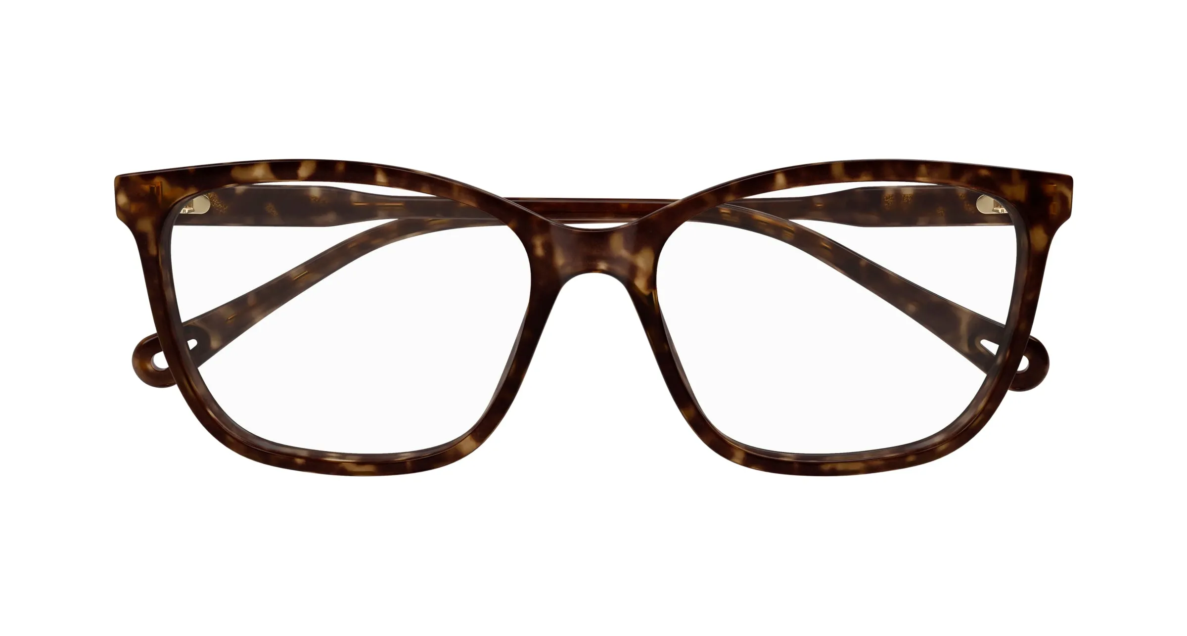 Chloé CH0318O 002 Montature da vista Acetato Havana Trasparente Squadrata - immagine 2