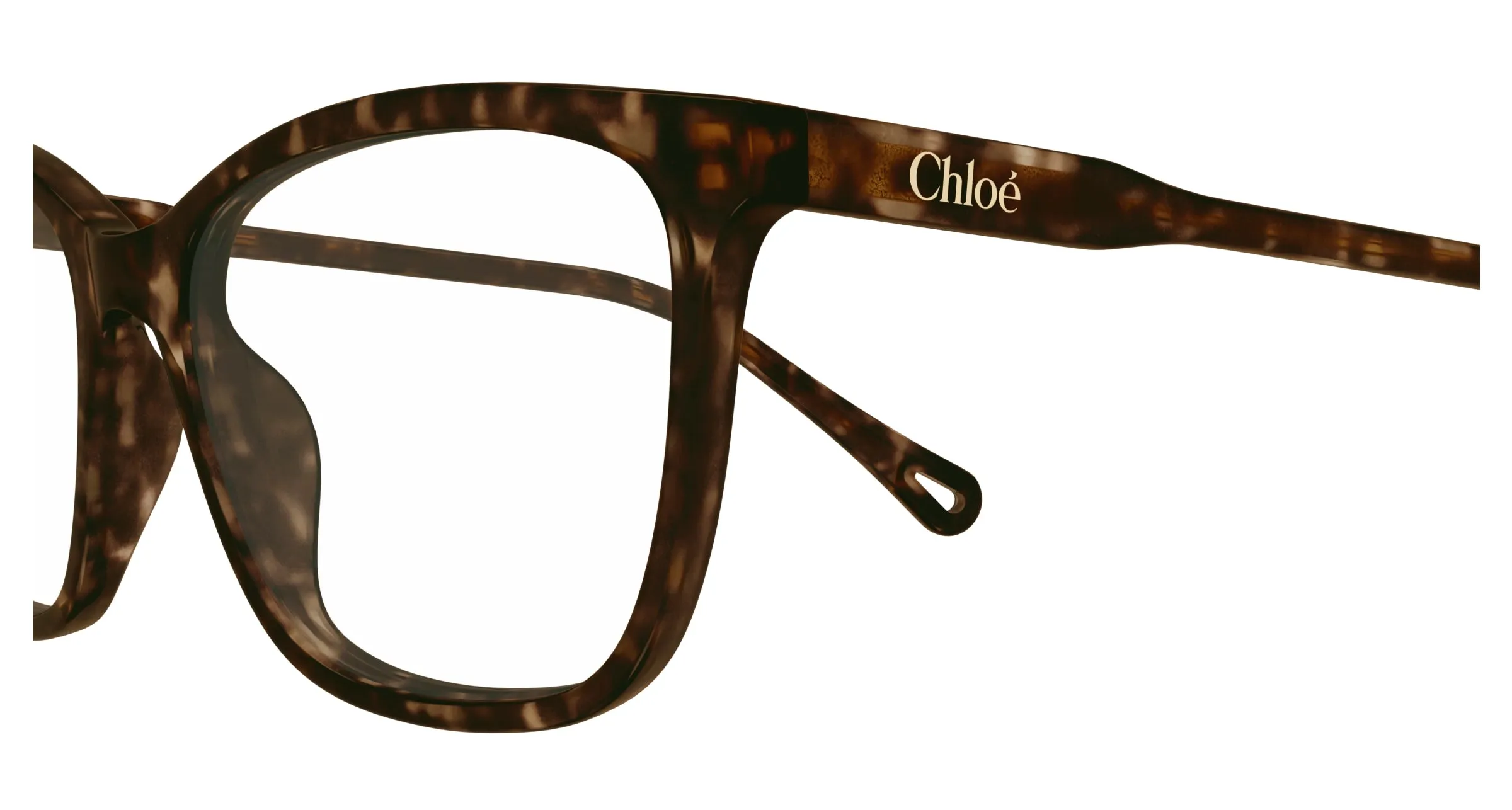 Chloé CH0318O 002 Montature da vista Acetato Havana Trasparente Squadrata - immagine 3