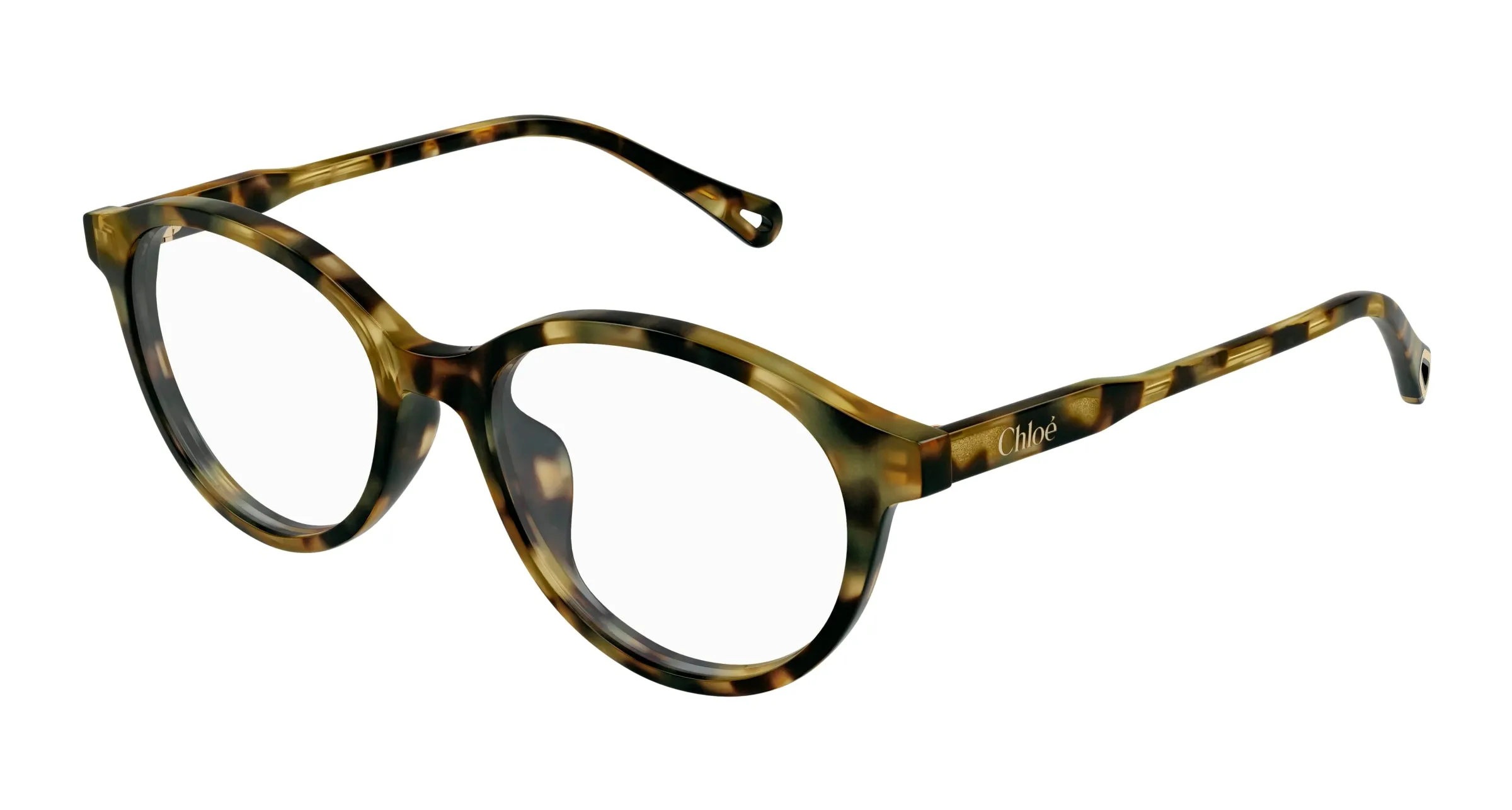 Chloé CH0316OA 002 Montature da vista Acetato Havana Trasparente Rotonda - immagine 1