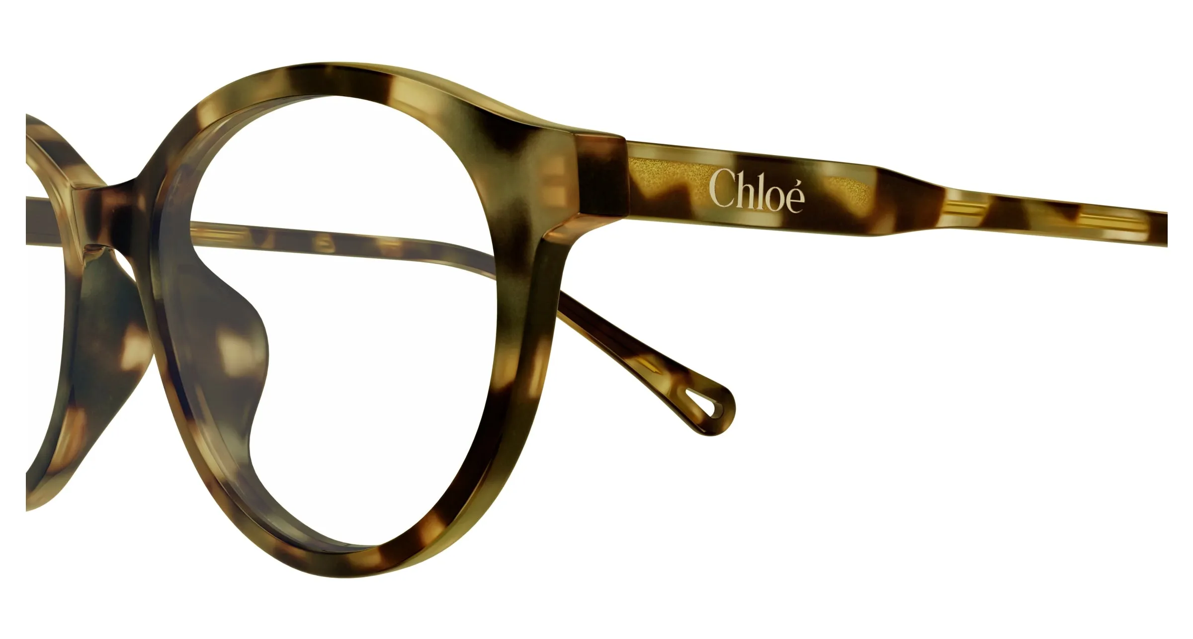 Chloé CH0316OA 002 Montature da vista Acetato Havana Trasparente Rotonda - immagine 3