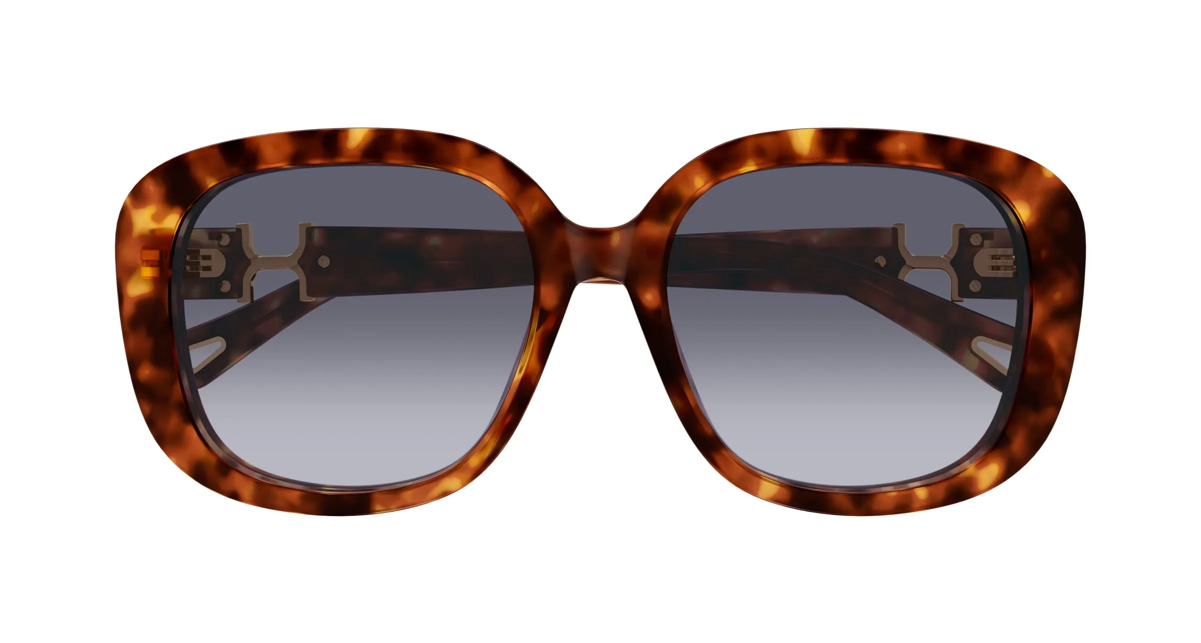 Chloé CH0303SK 002 Occhiali da sole Acetato Havana Viola Squadrata - immagine 2