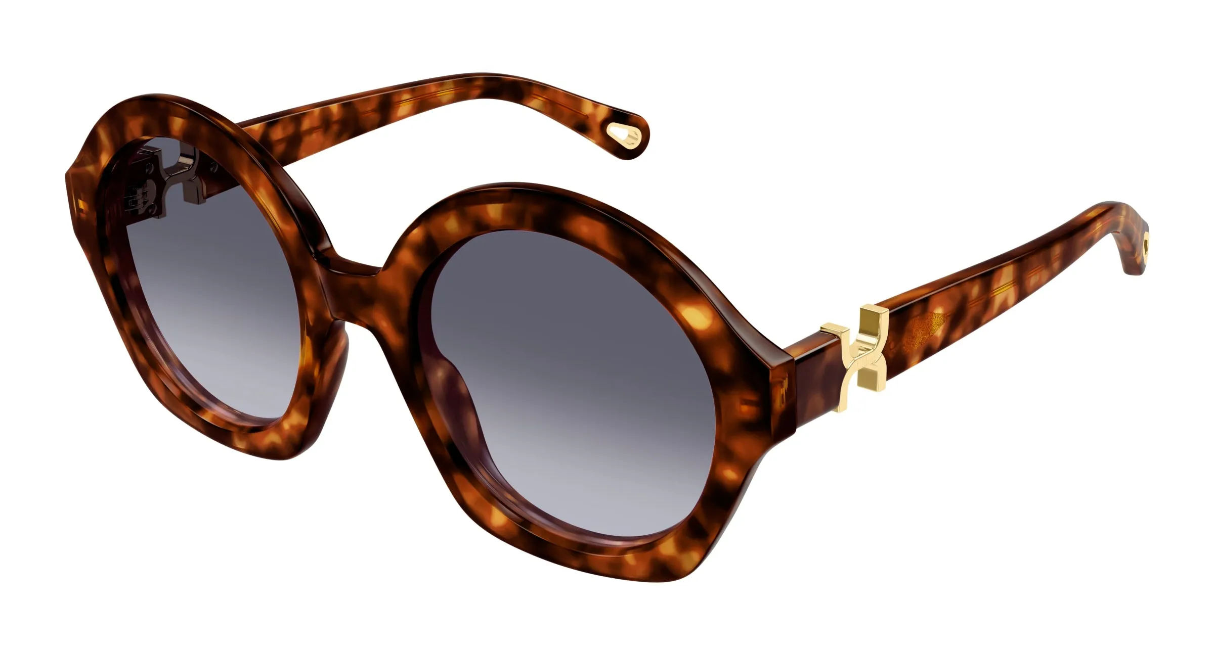 Chloé CH0302S 002 Occhiali da sole Acetato Havana Viola Rotonda - immagine 1