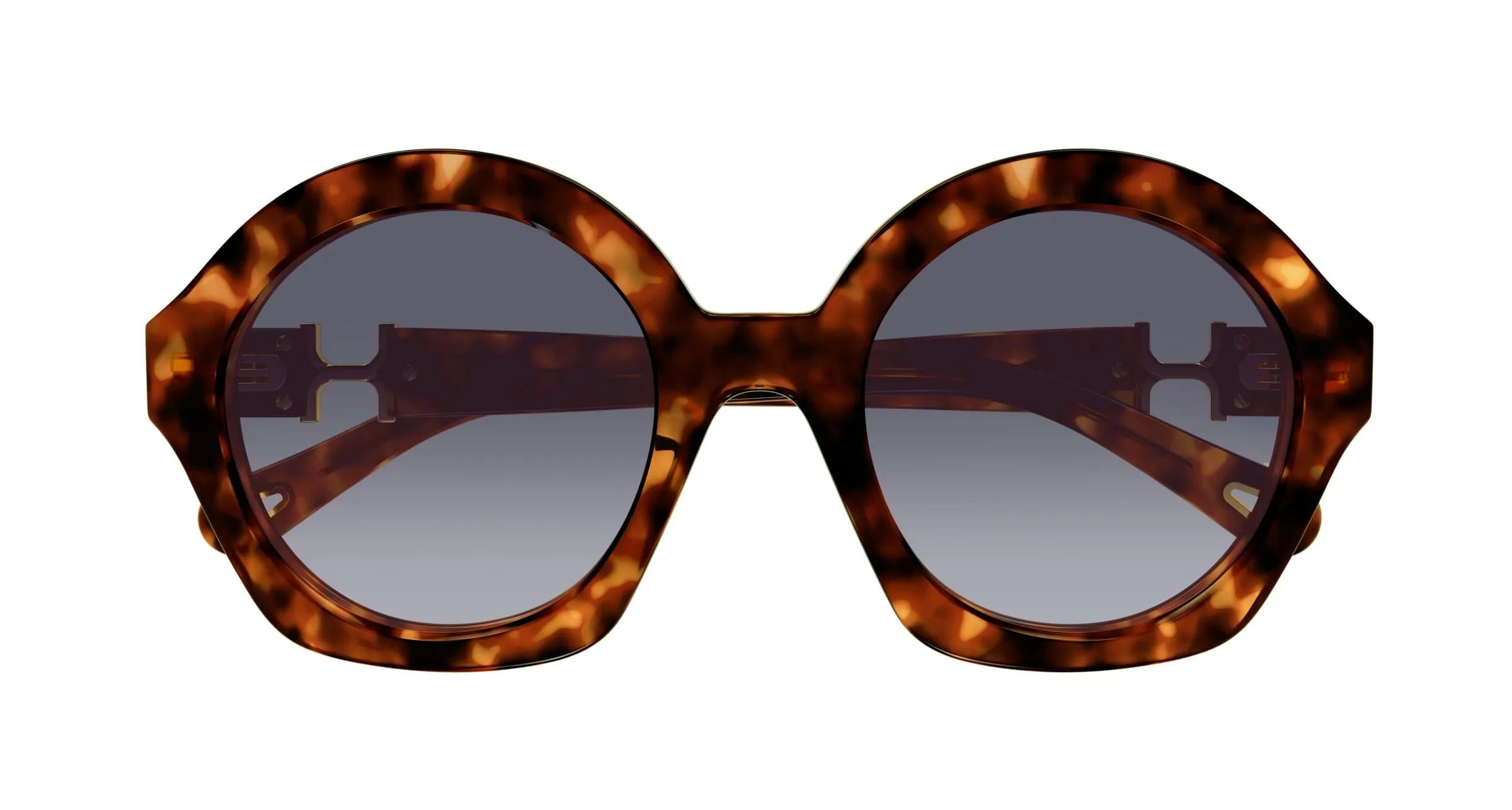 Chloé CH0302S 002 Occhiali da sole Acetato Havana Viola Rotonda - immagine 2