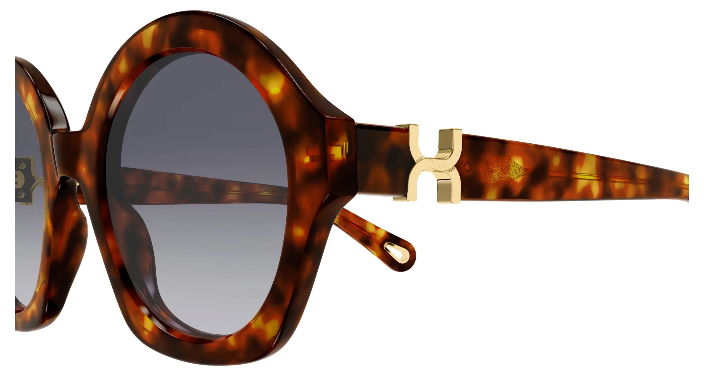 Chloé CH0302S 002 Occhiali da sole Acetato Havana Viola Rotonda - immagine 3
