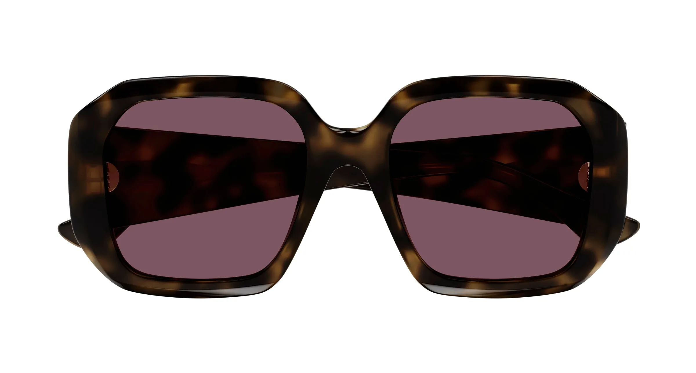 Chloé CH0300S 002 Occhiali da sole Acetato Havana Viola Squadrata - immagine 2