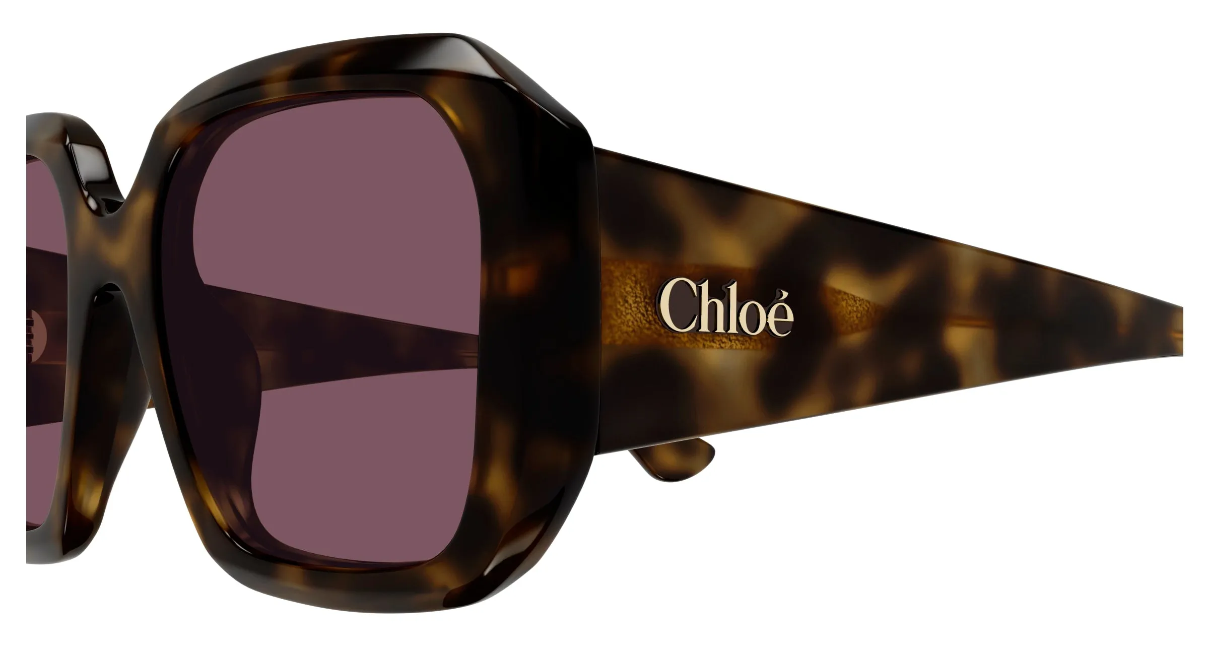 Chloé CH0300S 002 Occhiali da sole Acetato Havana Viola Squadrata - immagine 3