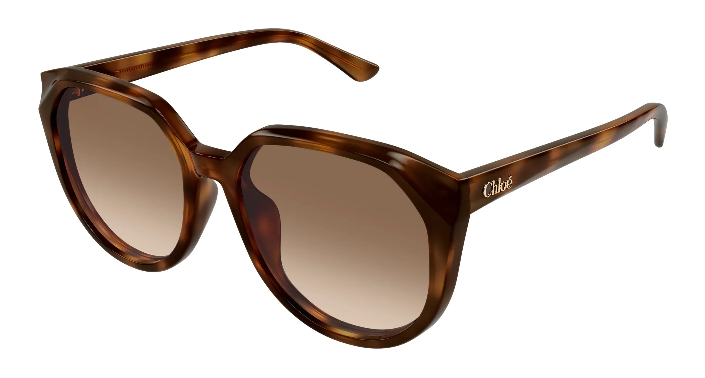 Chloé CH0291SK 003 Occhiali da sole Acetato Havana Marrone Squadrata - immagine 1