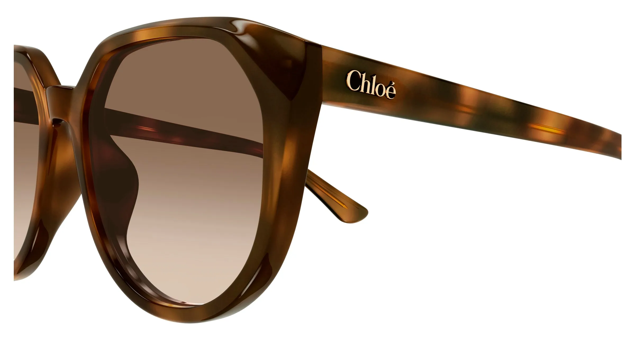 Chloé CH0291SK 003 Occhiali da sole Acetato Havana Marrone Squadrata - immagine 3