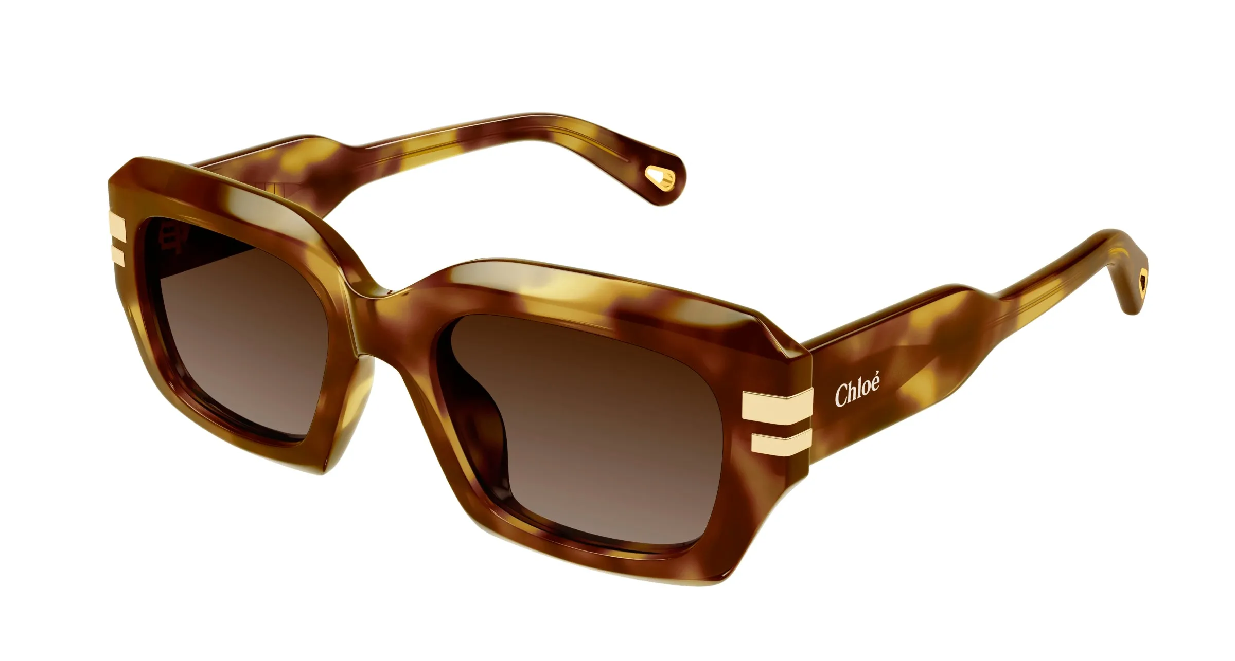 Chloé CH0256S 002 Occhiali da sole Acetato Havana Marrone Squadrata - immagine 1