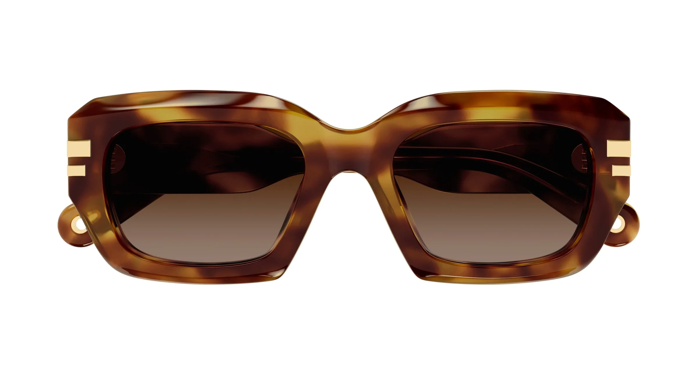 Chloé CH0256S 002 Occhiali da sole Acetato Havana Marrone Squadrata - immagine 2