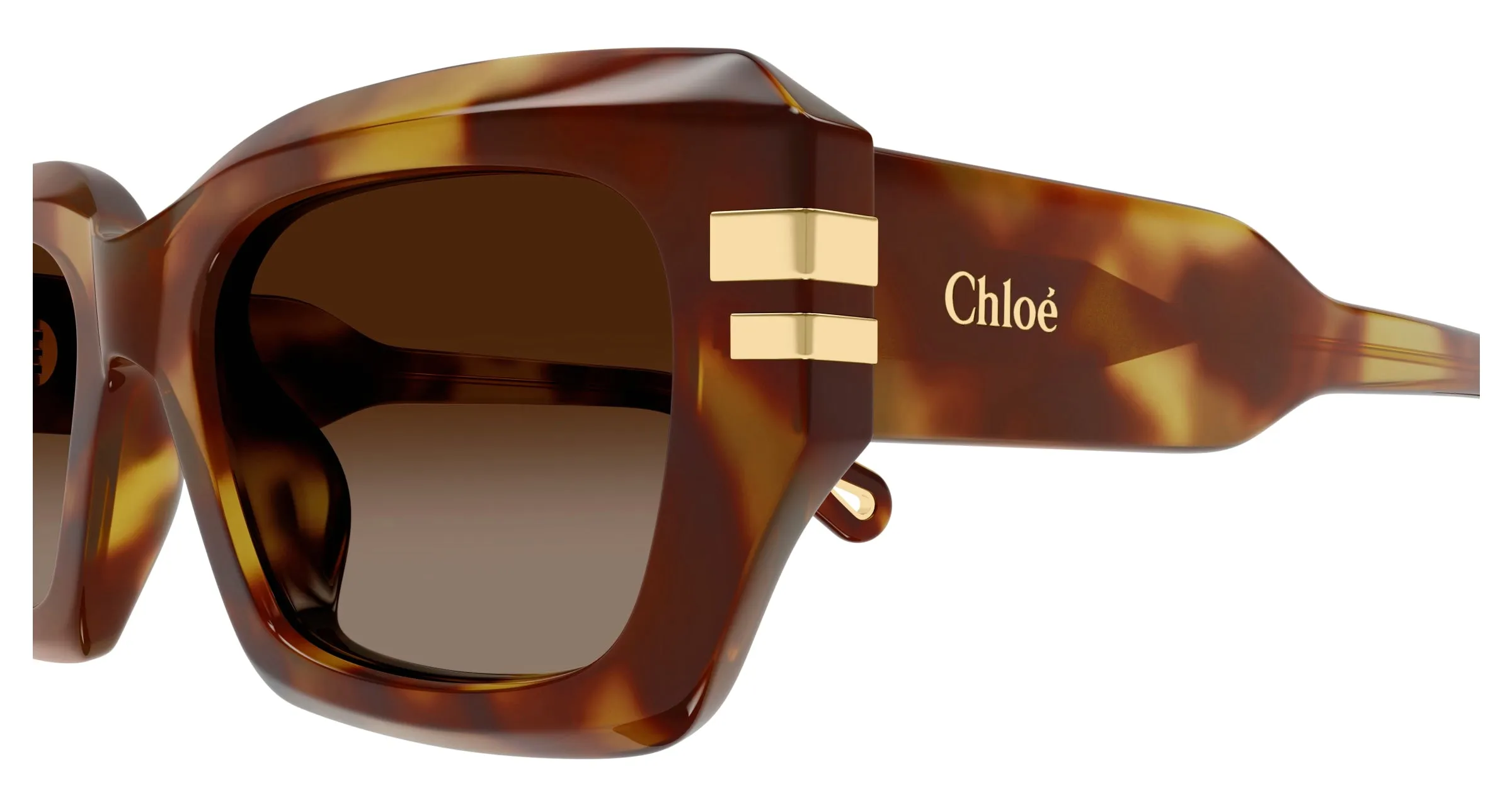 Chloé CH0256S 002 Occhiali da sole Acetato Havana Marrone Squadrata - immagine 3