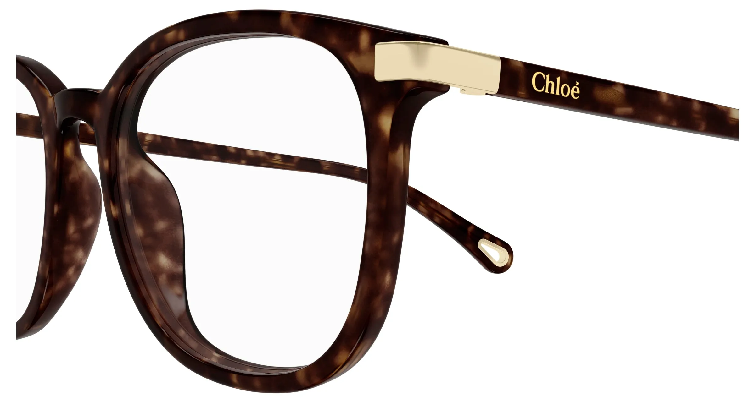 Chloé CH0247OA 002 Montature da vista Acetato Havana Trasparente Cat Eye - immagine 3
