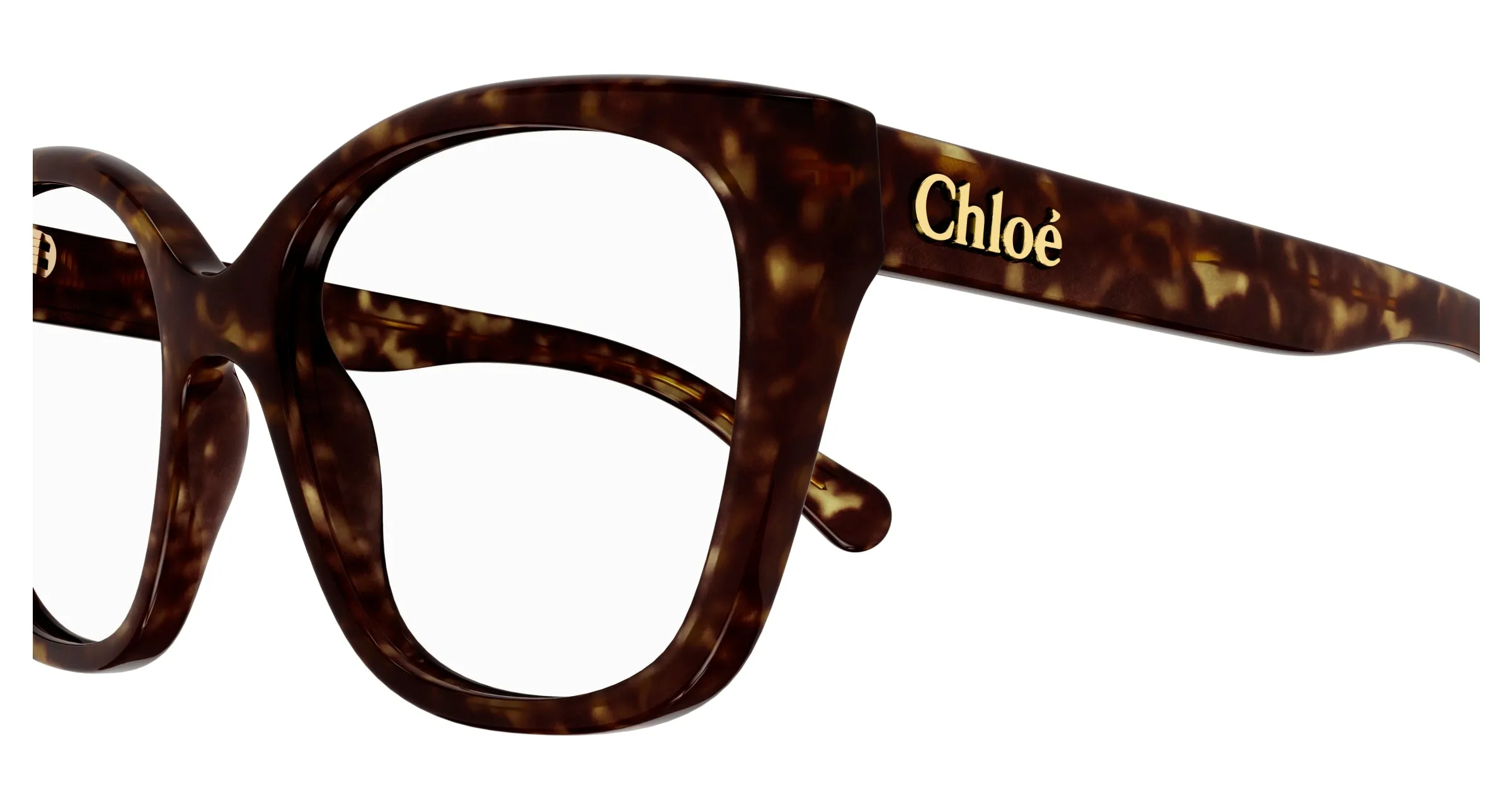 Chloé CH0241O 002 Montature da vista Acetato Havana Trasparente Cat Eye - immagine 3