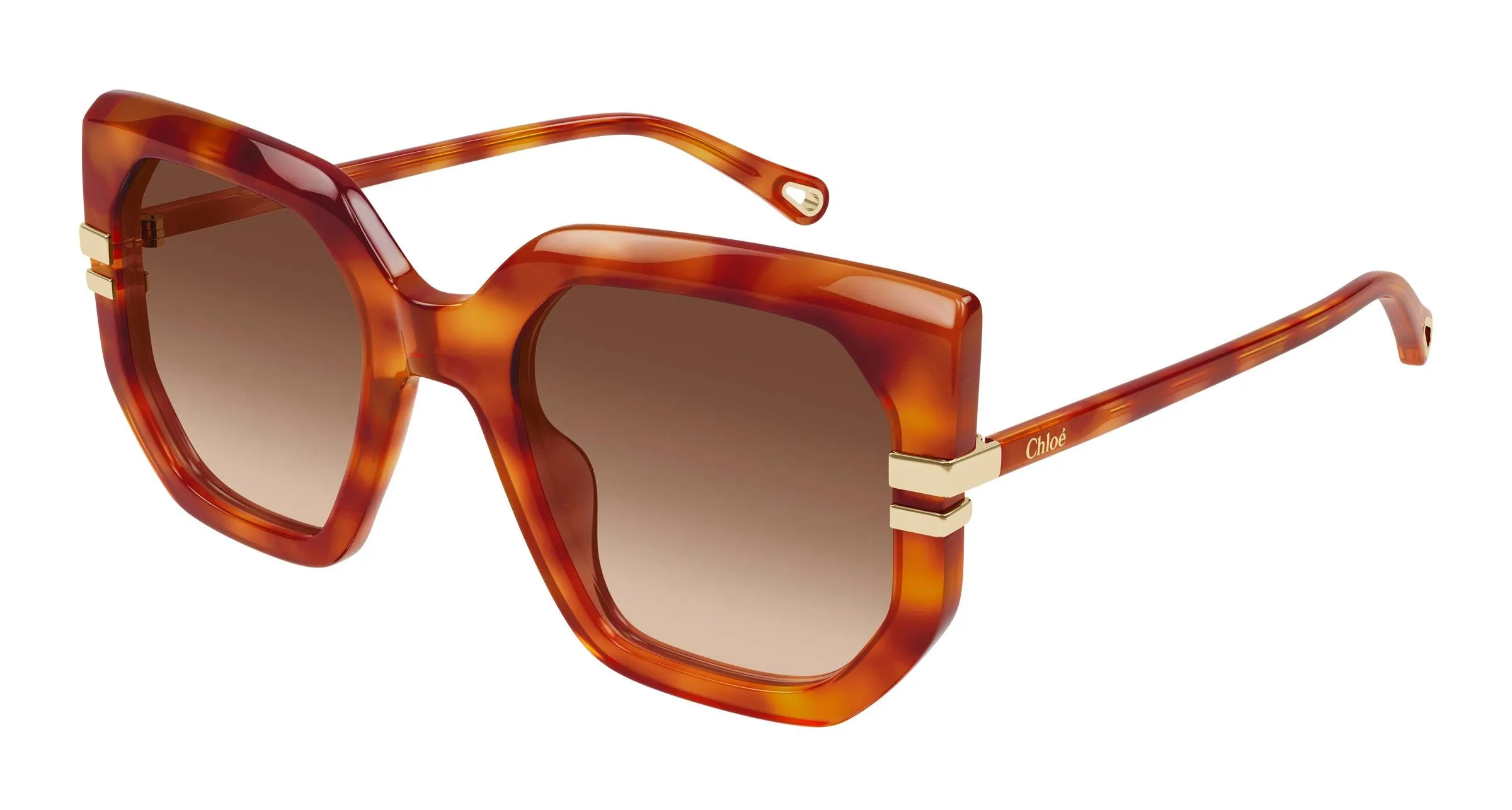 Chloé CH0240S 007 Occhiali da sole Acetato Havana Marrone Geometrica - immagine 1