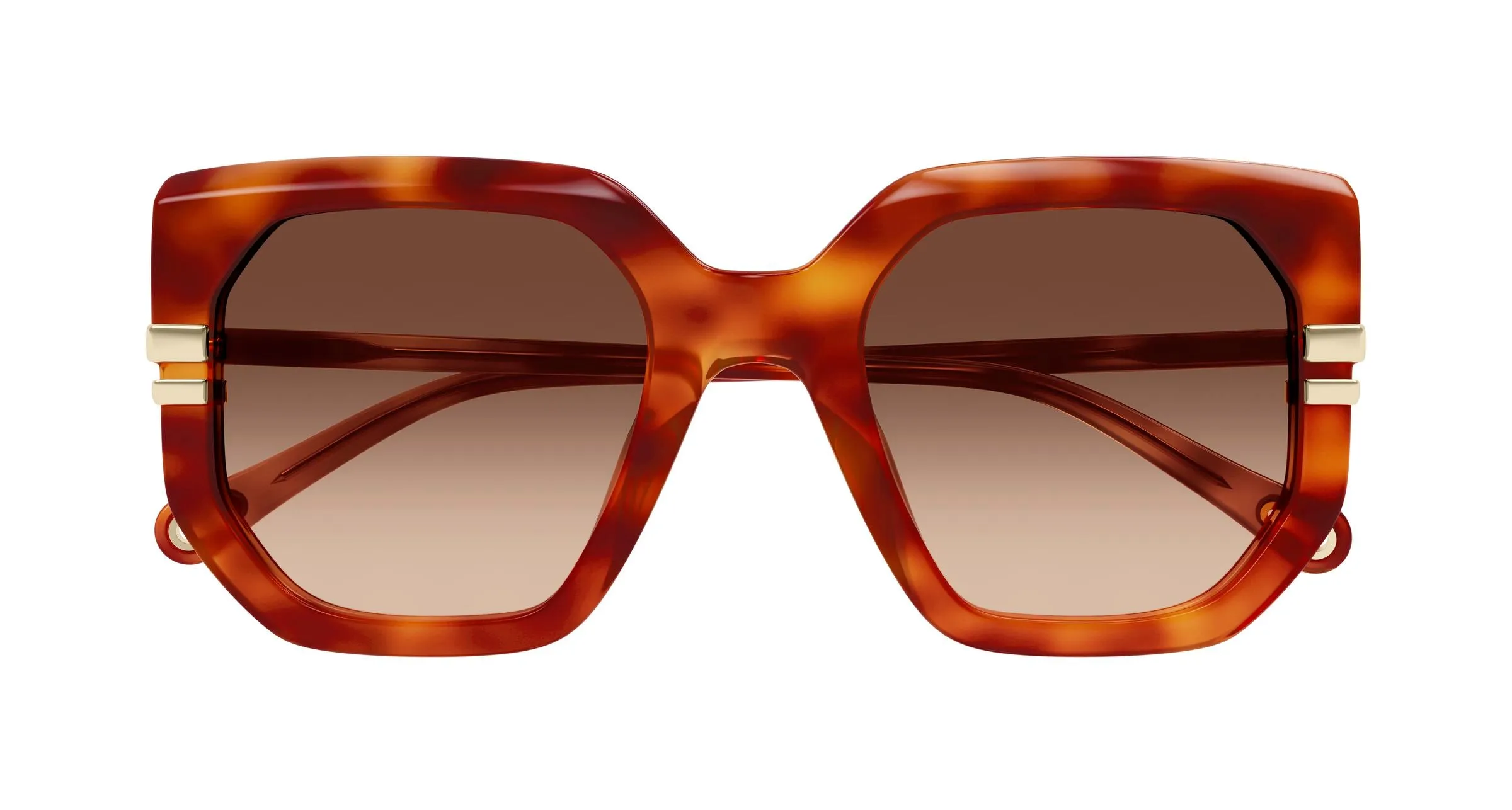 Chloé CH0240S 007 Occhiali da sole Acetato Havana Marrone Geometrica - immagine 2