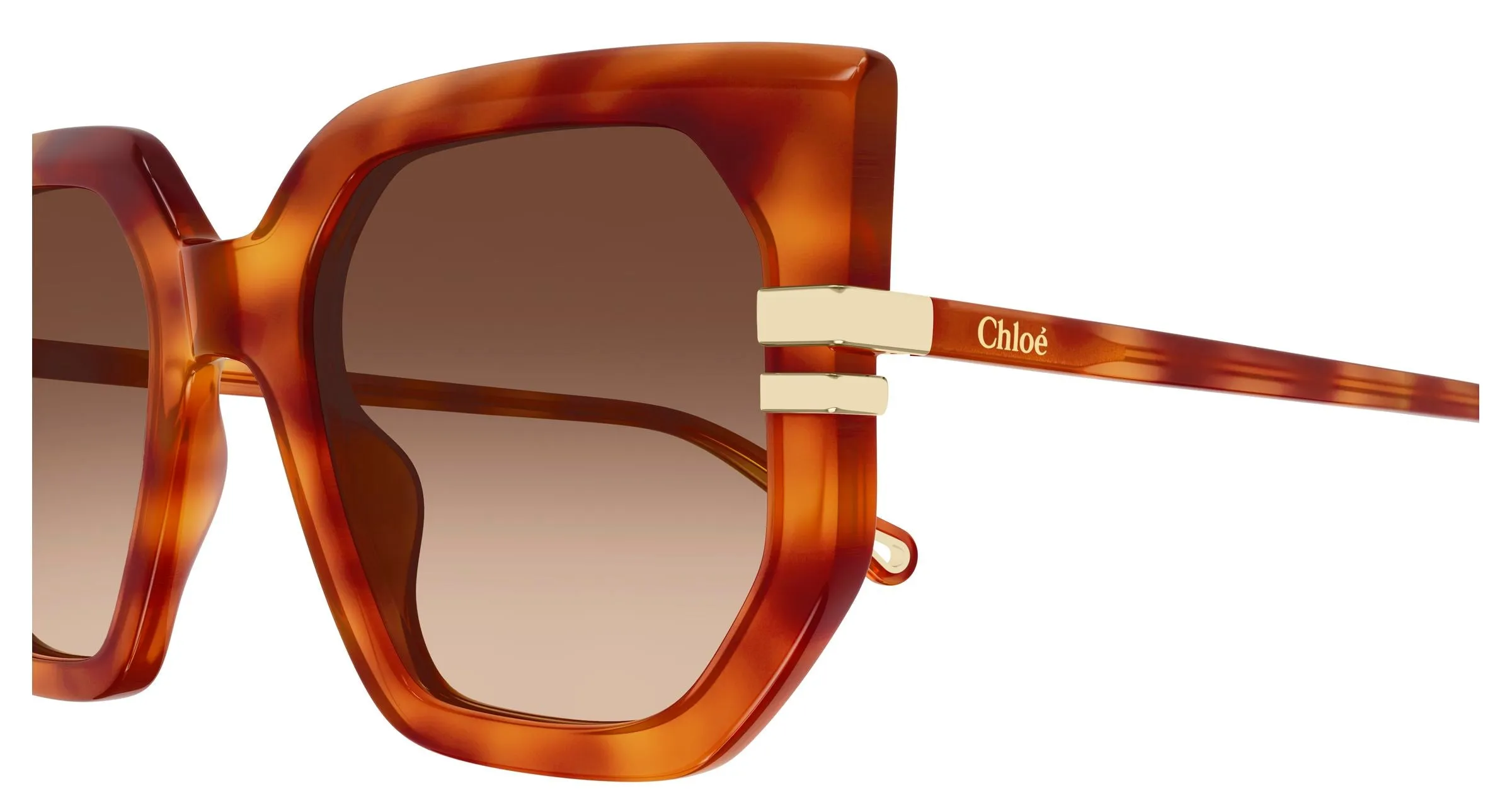 Chloé CH0240S 007 Occhiali da sole Acetato Havana Marrone Geometrica - immagine 3