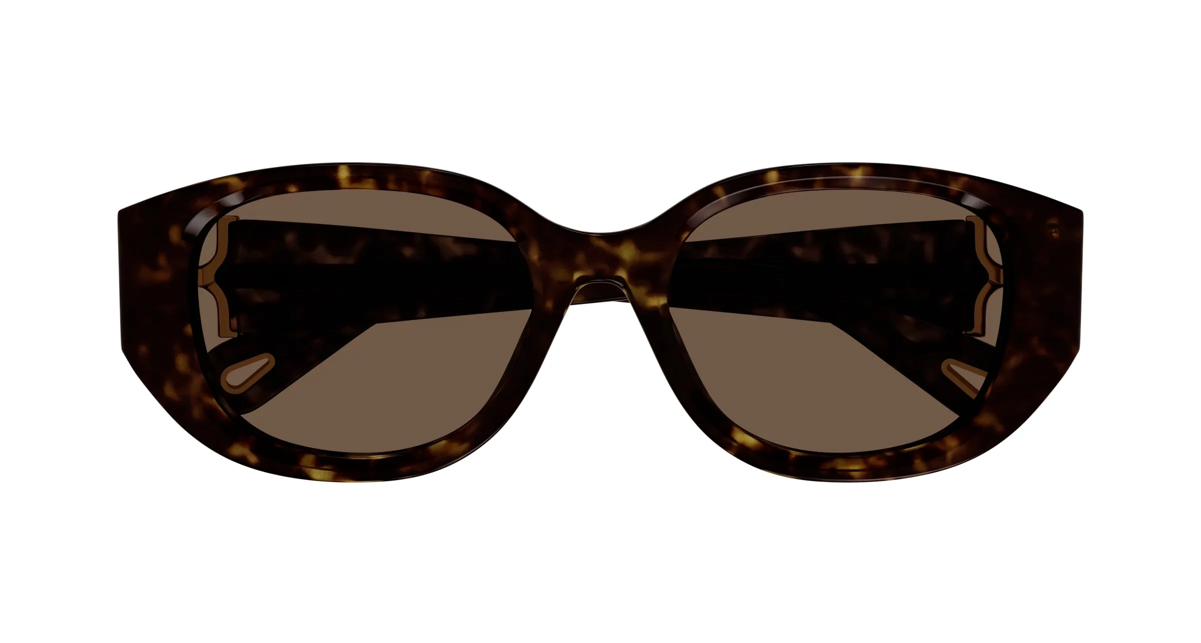 Chloé CH0237SK 002 Occhiali da sole Acetato Havana Marrone Rotonda - immagine 2