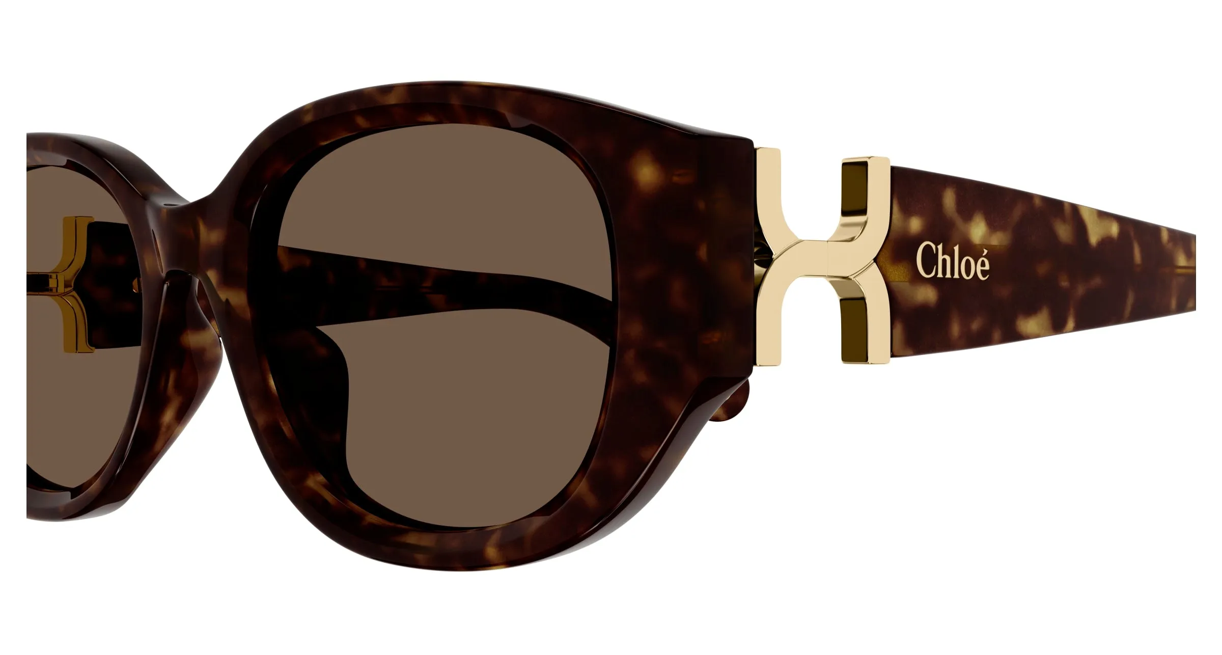 Chloé CH0237SK 002 Occhiali da sole Acetato Havana Marrone Rotonda - immagine 3