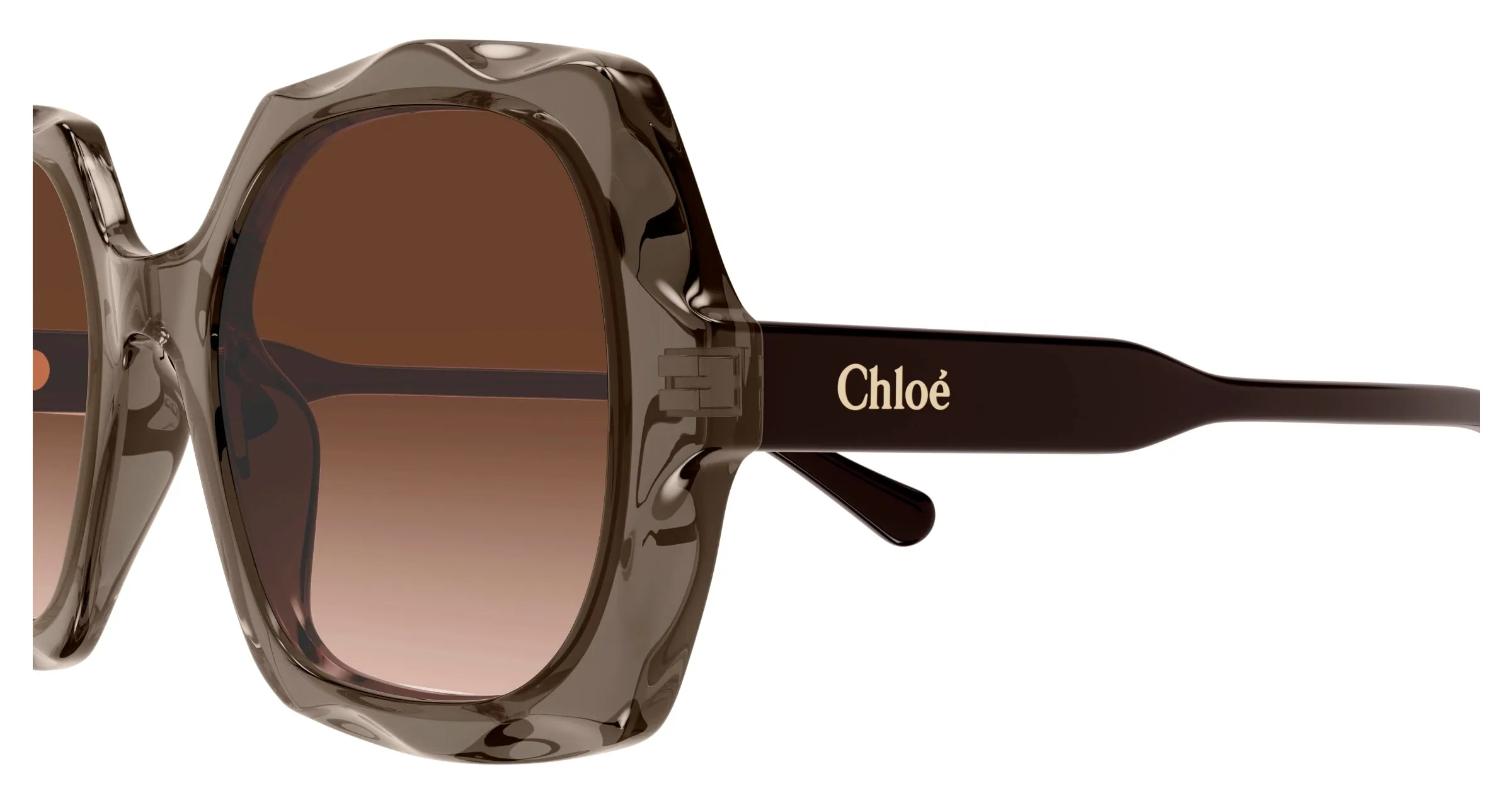 Chloé CH0226S 007 Occhiali da sole Acetato Marrone Rame Squadrata - immagine 3