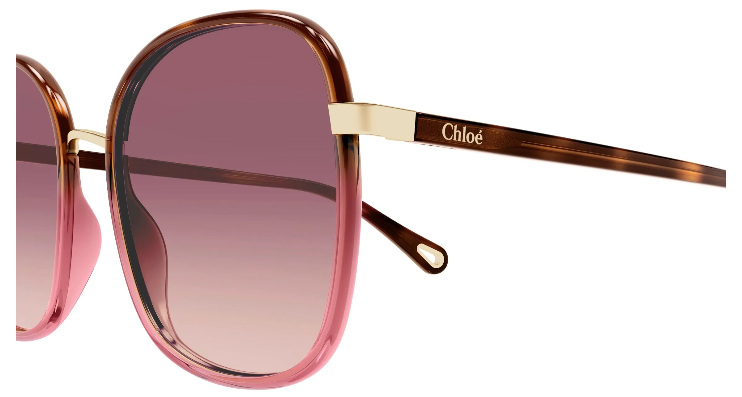 Chloé CH0031S 016 Occhiali da sole Bio-iniettato Havana Rosso Squadrata - immagine 3