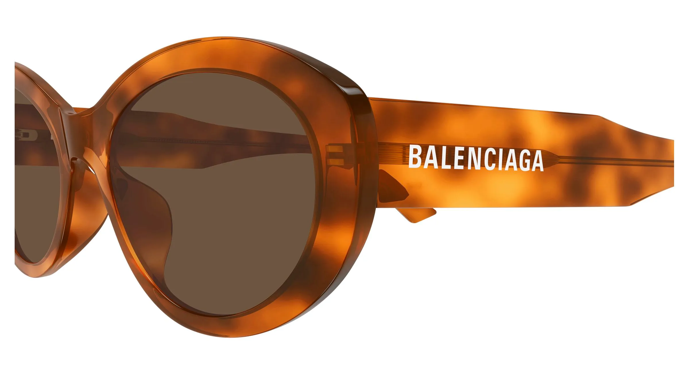 Balenciaga BB0446S 003 Occhiali da sole Acetato Havana Marrone Rotonda - immagine 3